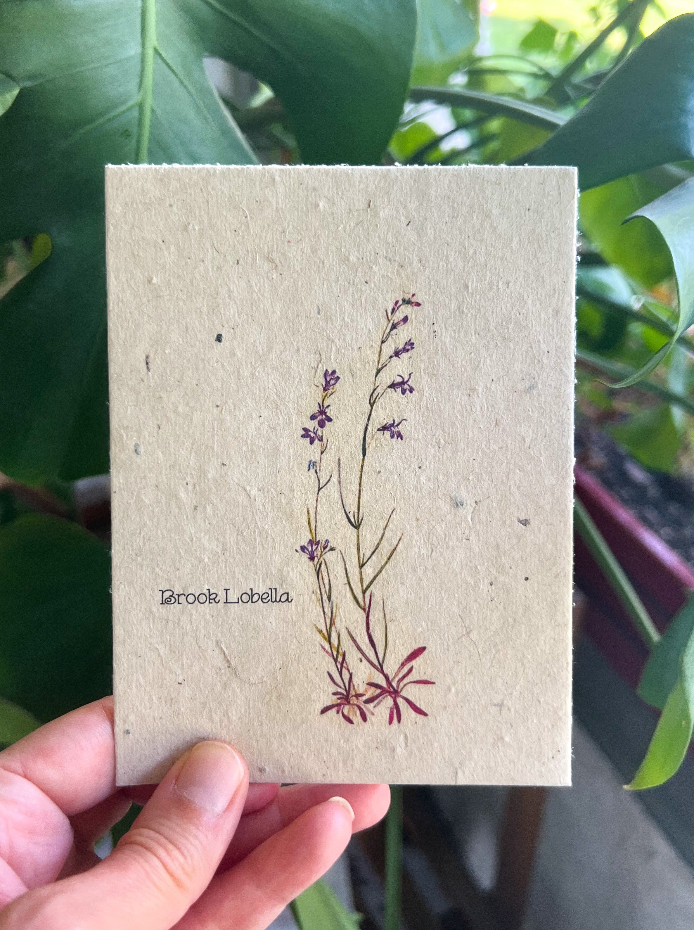 Botanical Plantable Seed Card || Zero Waste || Supports Women || Eco-friendly || MVW16