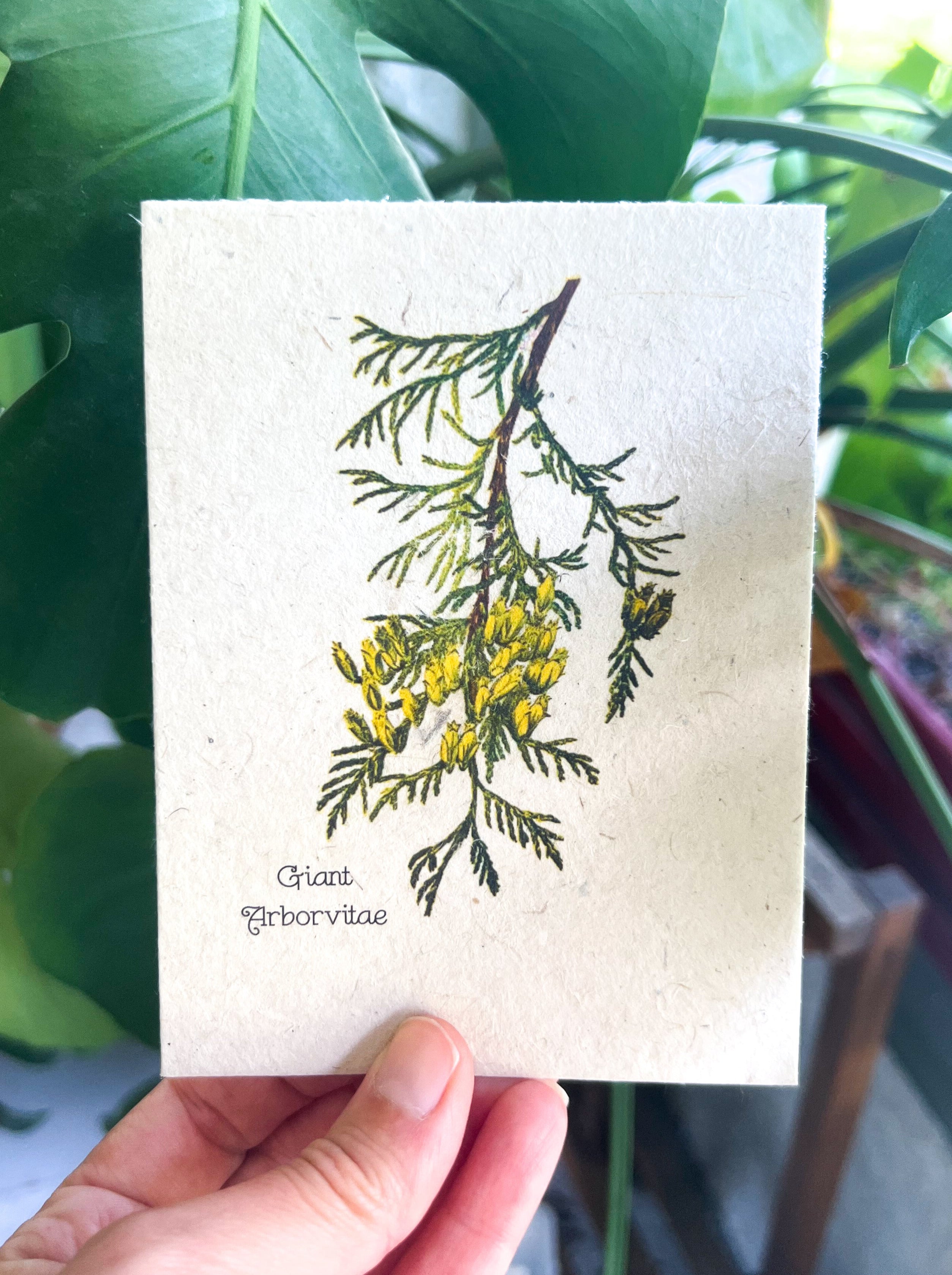 Botanical Plantable Seed Card || Zero Waste || Supports Women || Eco-friendly || MVW3