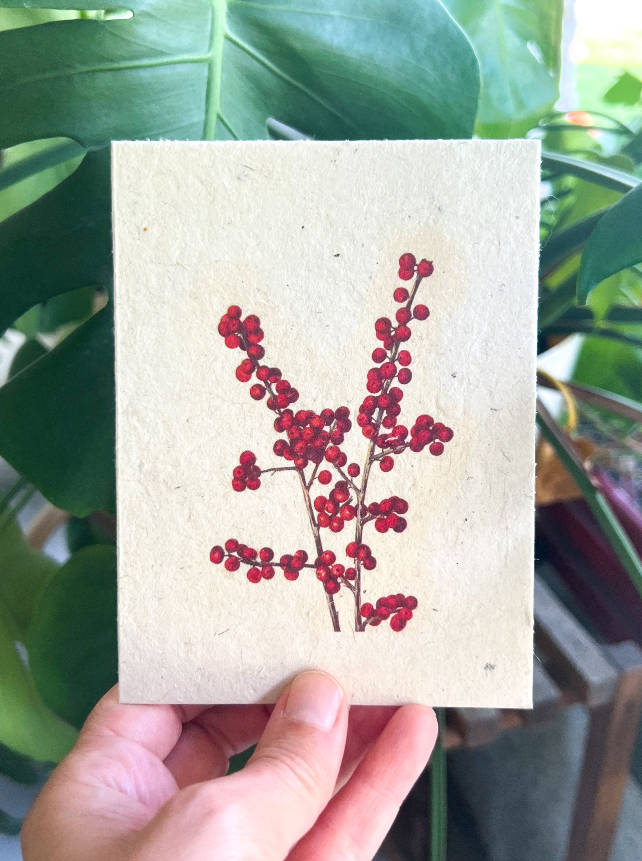 Botanical Plantable Seed Card || Zero Waste || Supports Women || Eco-friendly || MVW5