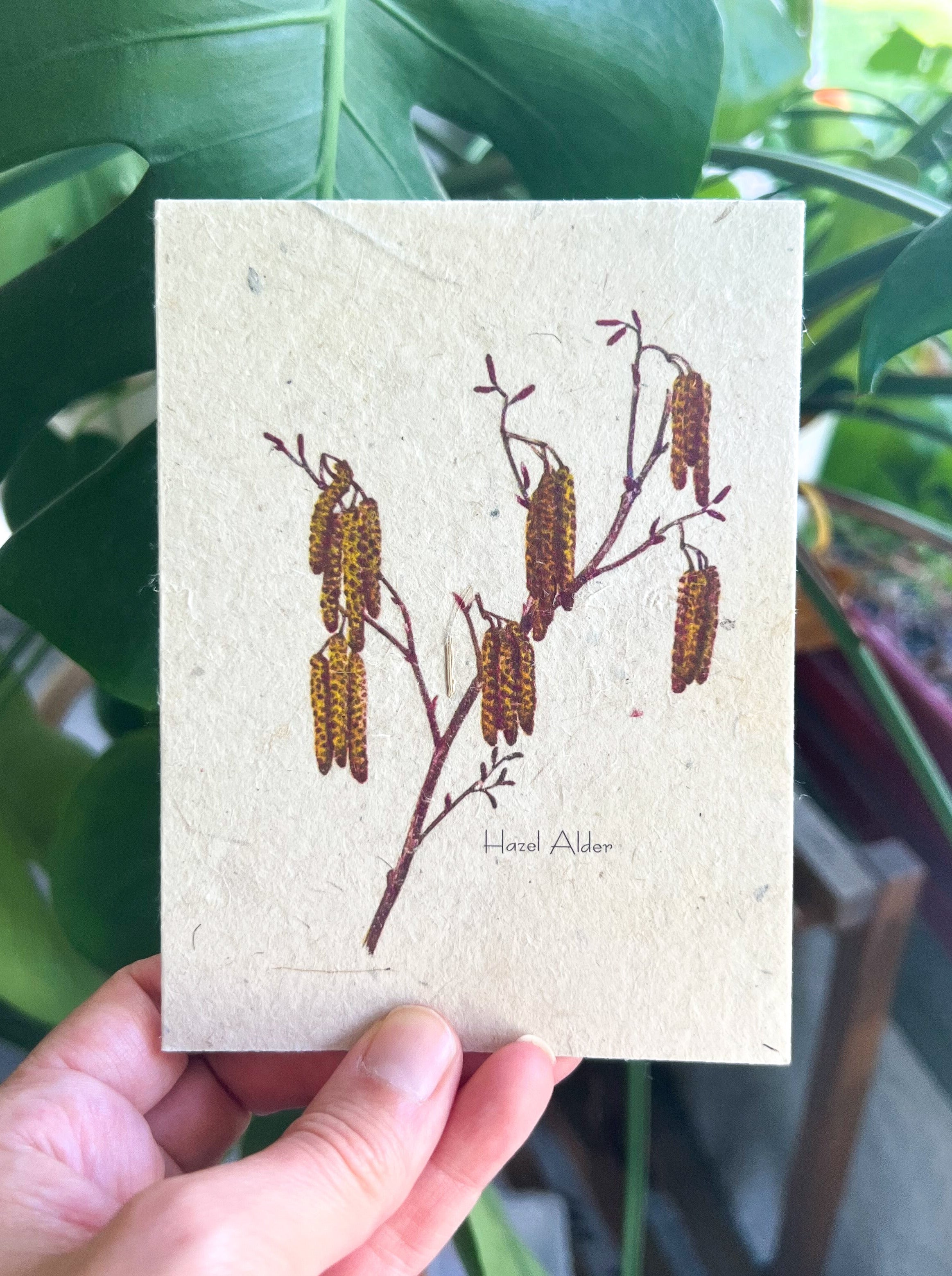 Botanical Plantable Seed Card || Zero Waste || Supports Women || Eco-friendly || MVW7