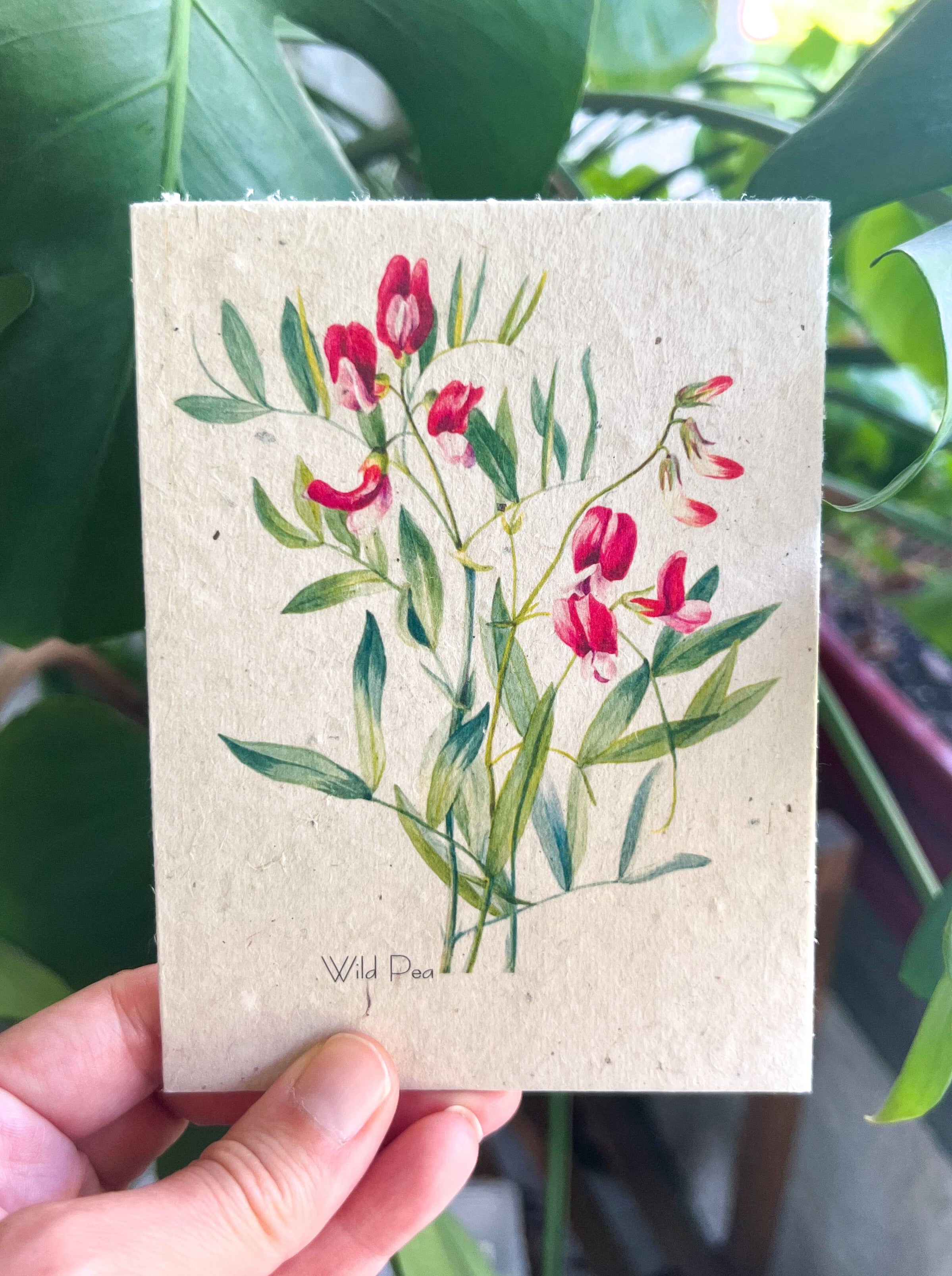 Botanical Plantable Seed Card || Zero Waste || Supports Women || Eco-friendly || MVW18