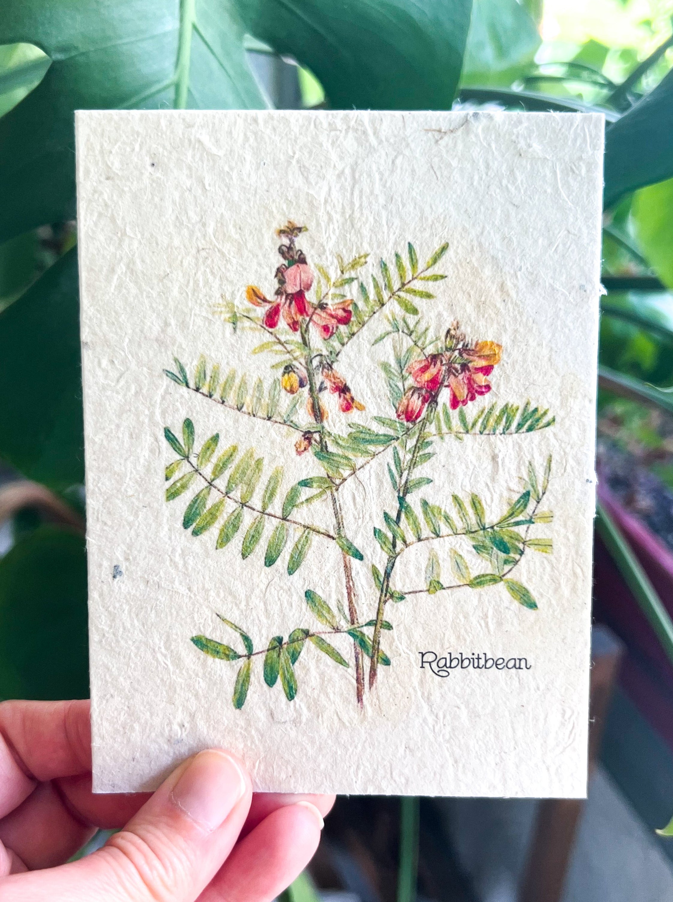 Botanical Plantable Seed Card || Zero Waste || Supports Women || Eco-friendly || MVW27