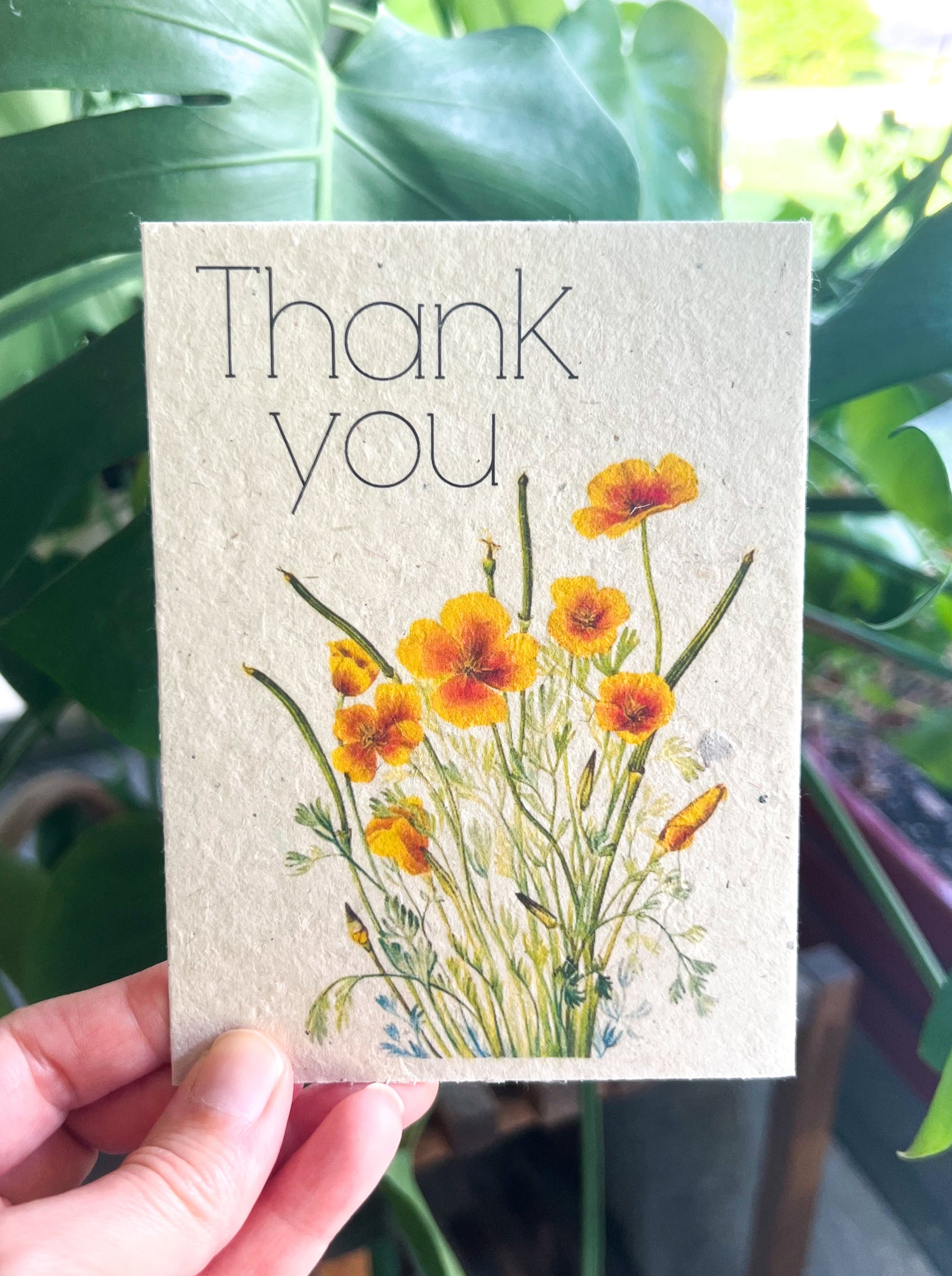 Botanical Plantable Seed Card || Zero Waste || Supports Women || Eco-friendly || MVW41