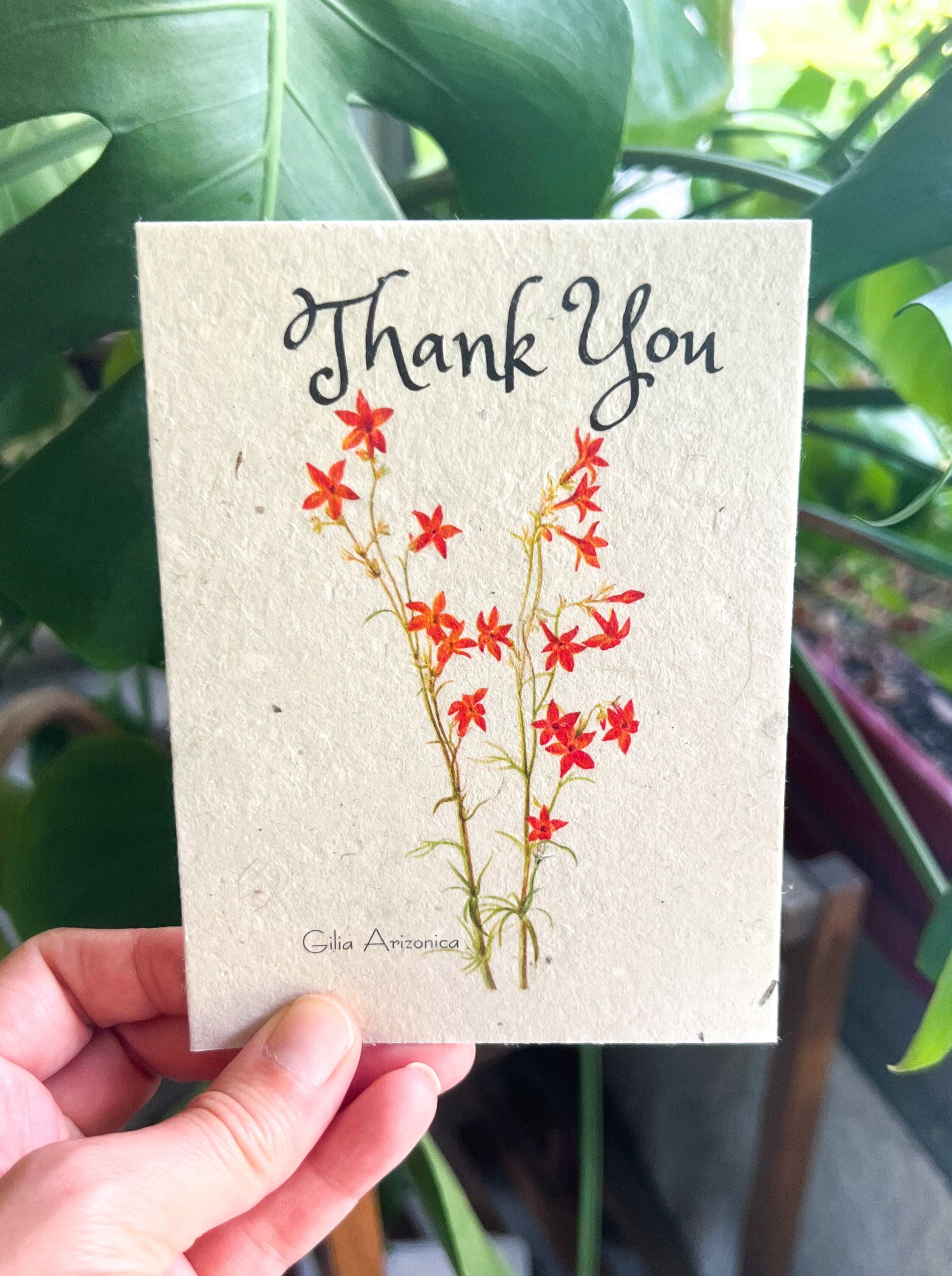 Botanical Plantable Seed Card || Zero Waste || Supports Women || Eco-friendly || MVW42
