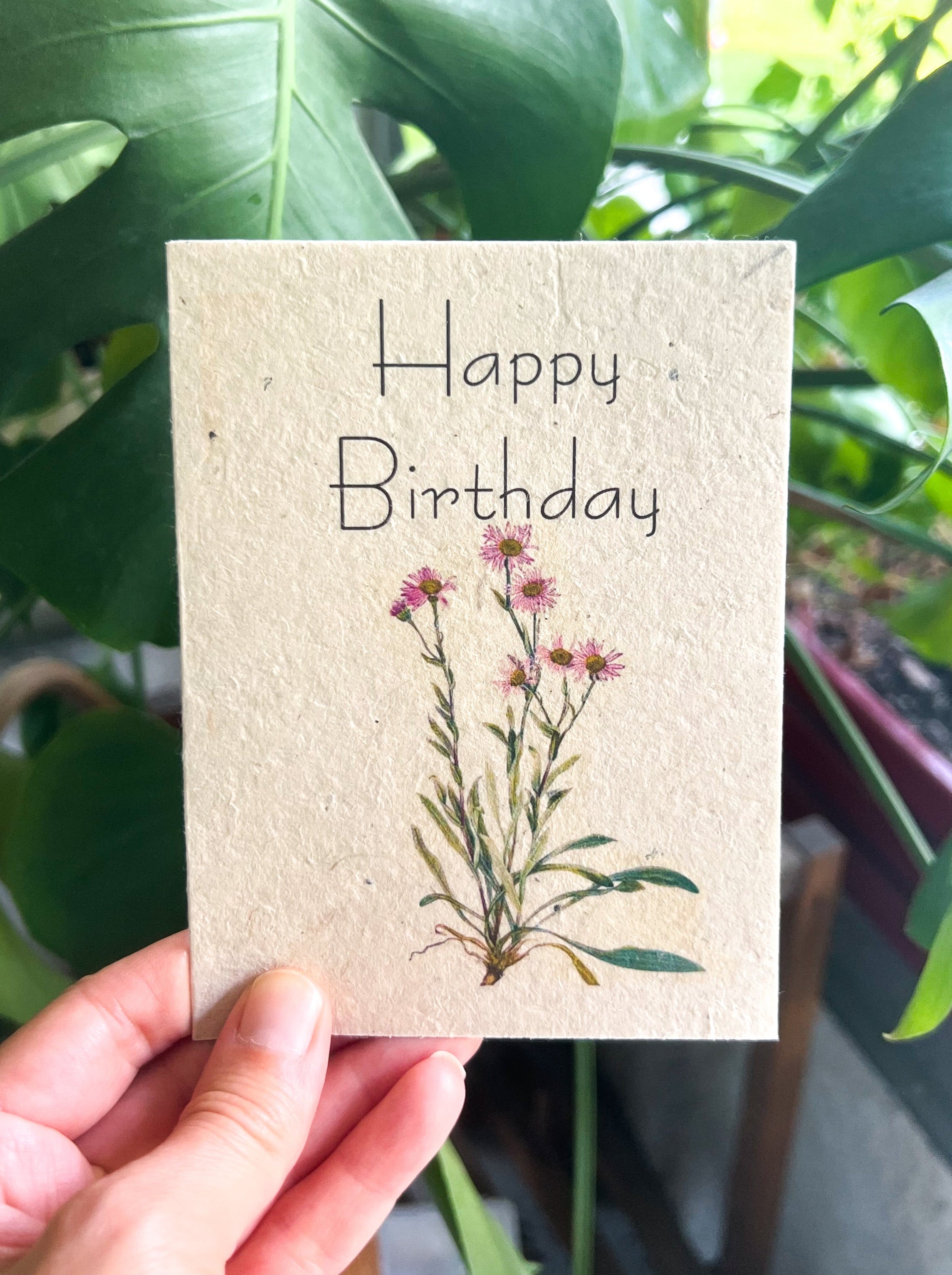 Botanical Plantable Seed Card || Zero Waste || Supports Women || Eco-friendly || MVW51
