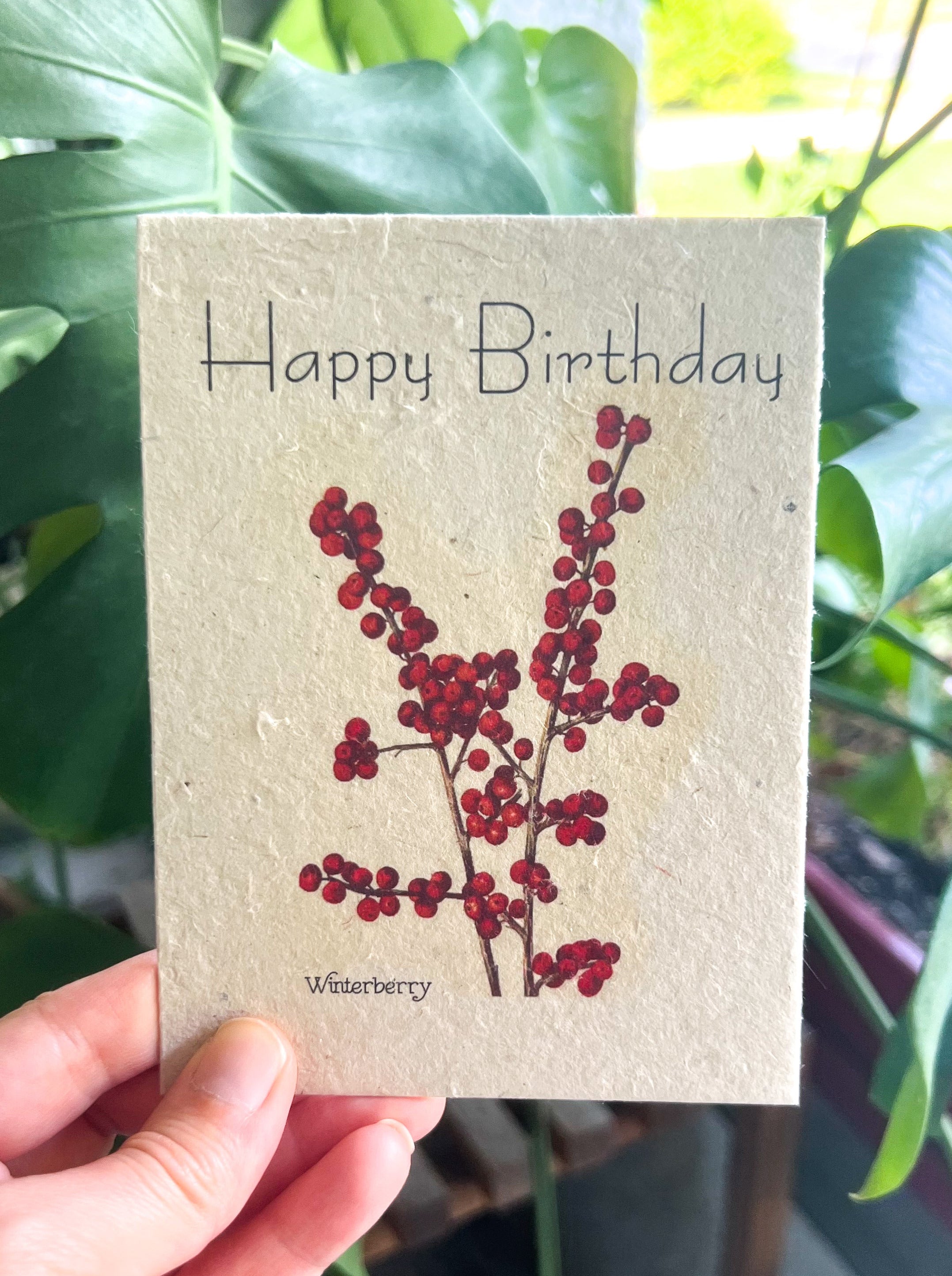 Botanical Plantable Seed Card || Zero Waste || Supports Women || Eco-friendly || MVW53