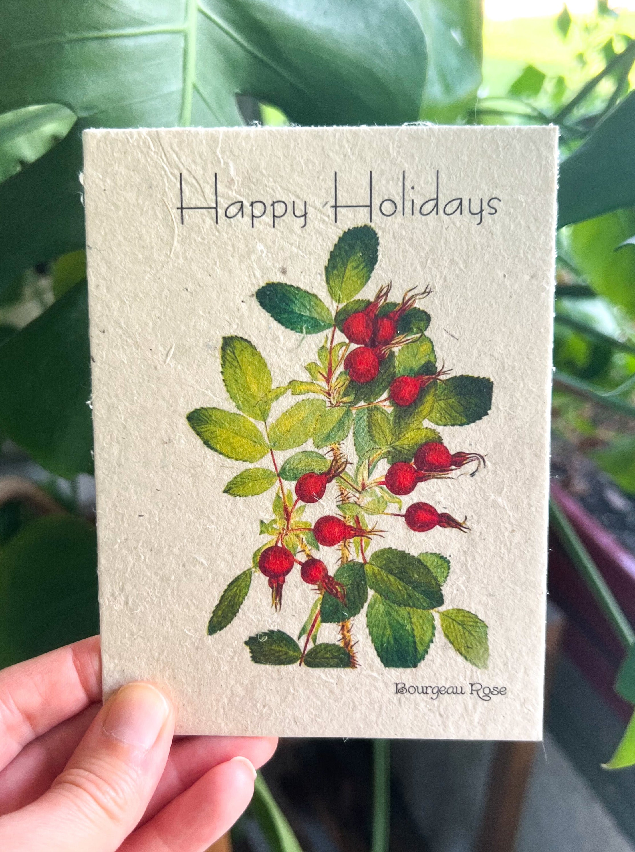 Botanical Plantable Seed Card || Zero Waste || Supports Women || Eco-friendly || MVW55