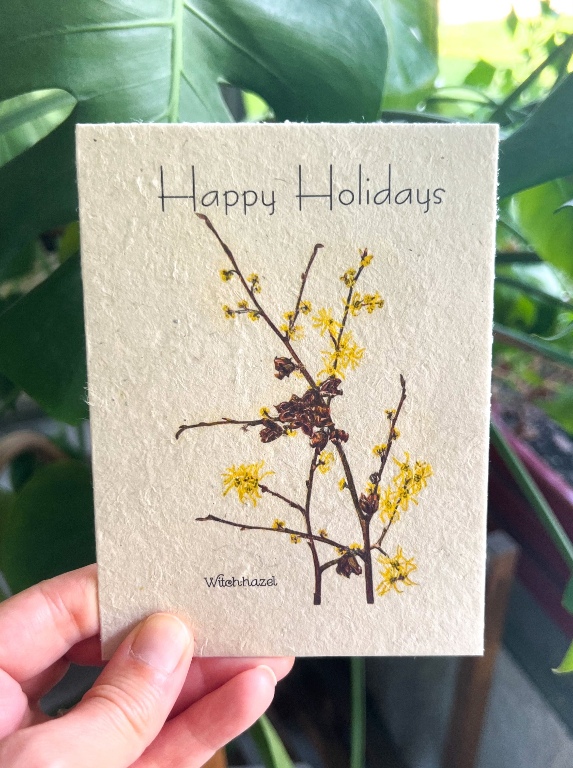 Botanical Plantable Seed Card || Zero Waste || Supports Women || Eco-friendly || MVW56