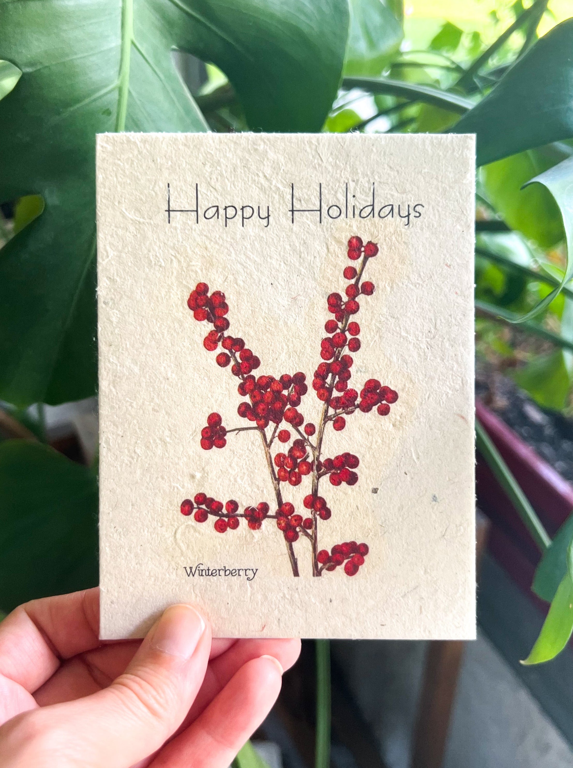 Botanical Plantable Seed Card || Zero Waste || Supports Women || Eco-friendly || MVW57