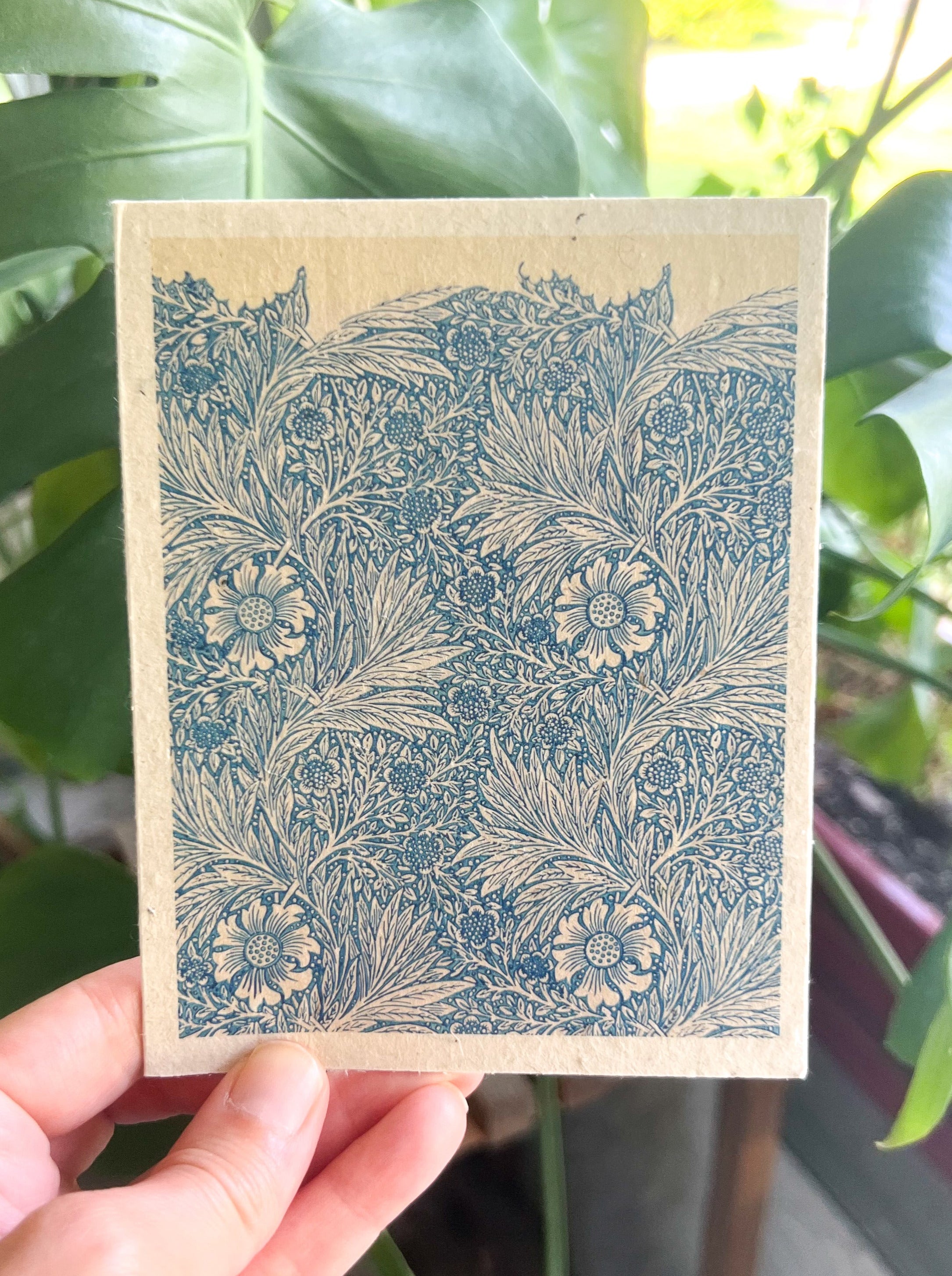 Botanical Plantable Seed Card || Zero Waste || Supports Women || Eco-friendly || MVW69