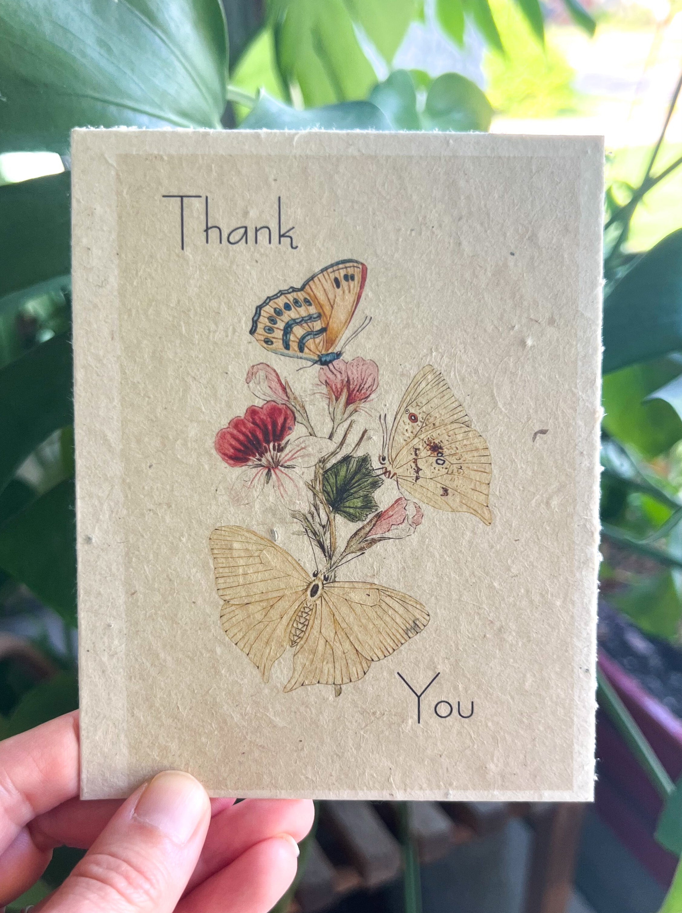 Botanical Plantable Seed Card || Zero Waste || Supports Women || Eco-friendly || MVW70