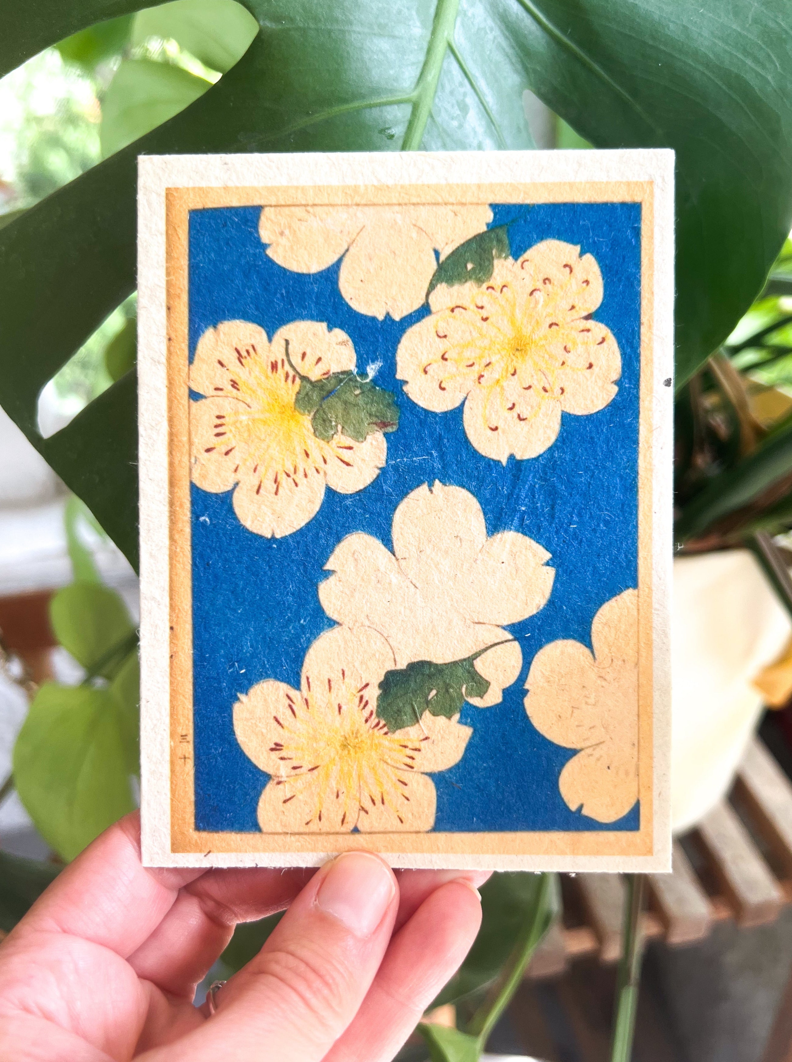 Japanese Plantable Seed Card || Zero Waste || Supports Women || Eco-friendly || J11