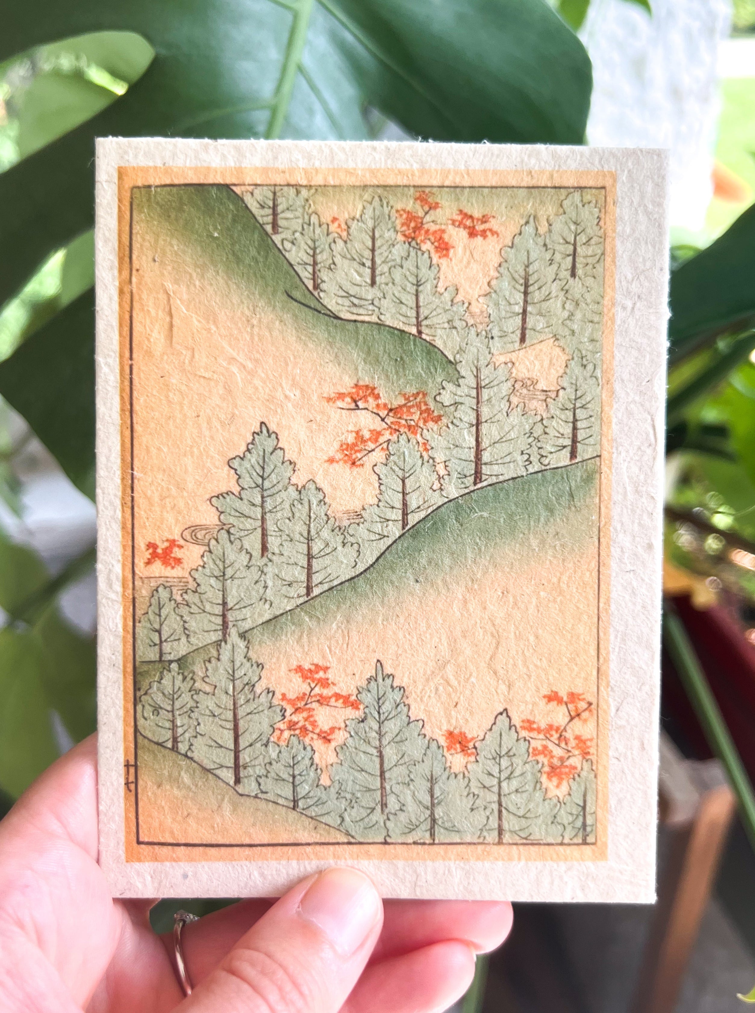 Japanese Plantable Seed Card || Zero Waste || Supports Women || Eco-friendly || J54