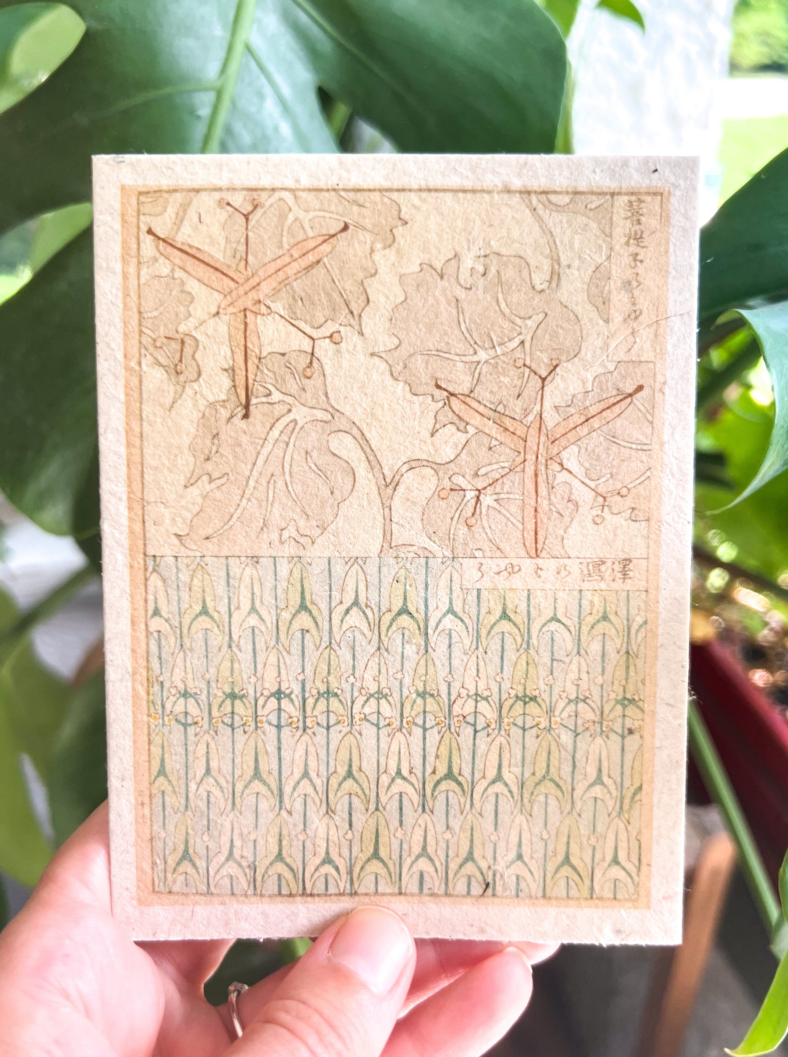 Japanese Plantable Seed Card || Zero Waste || Supports Women || Eco-friendly || J56