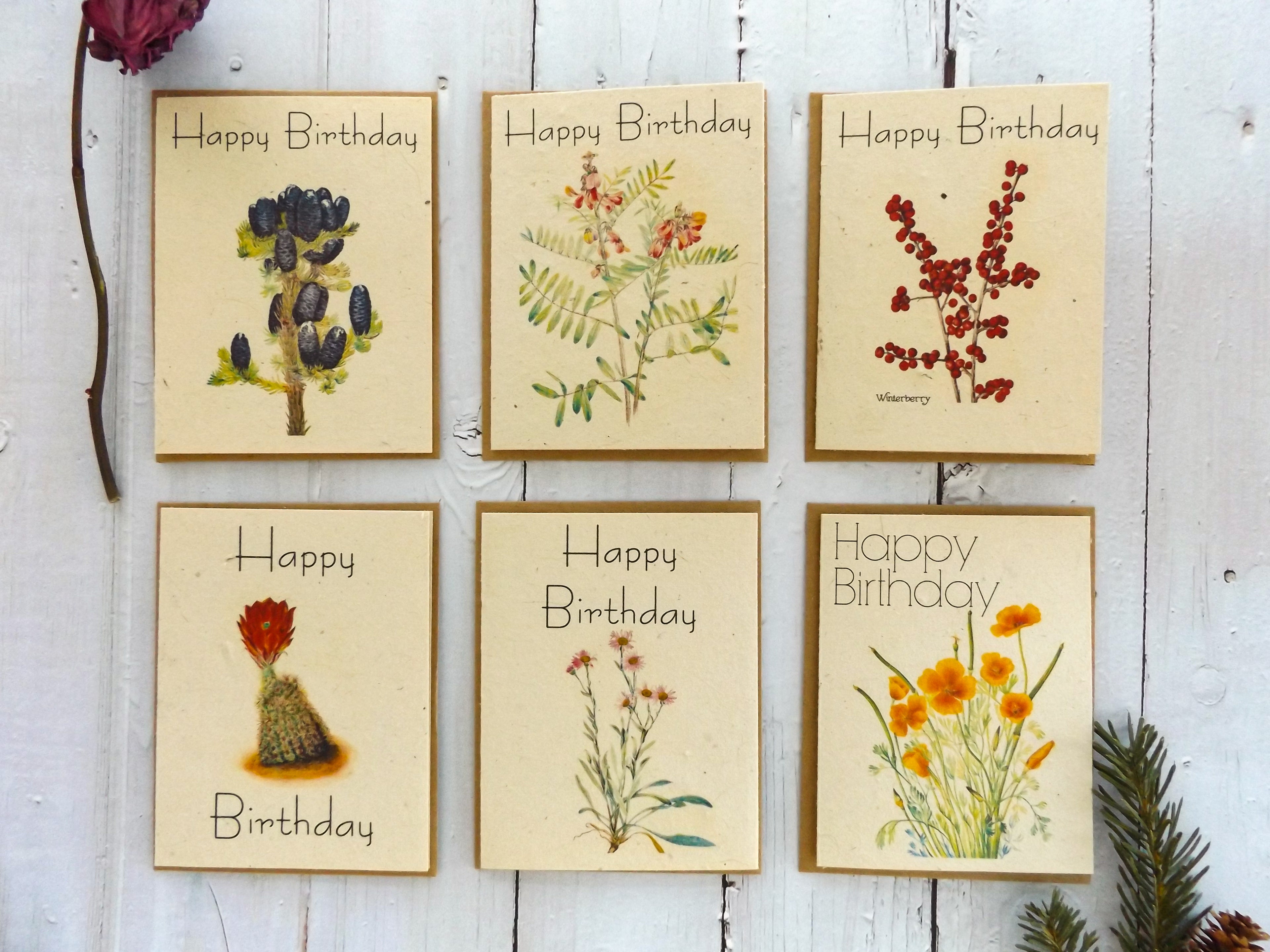 Happy Birthday Plantable Cards || Supports Women In Nepal || Eco-Friendly