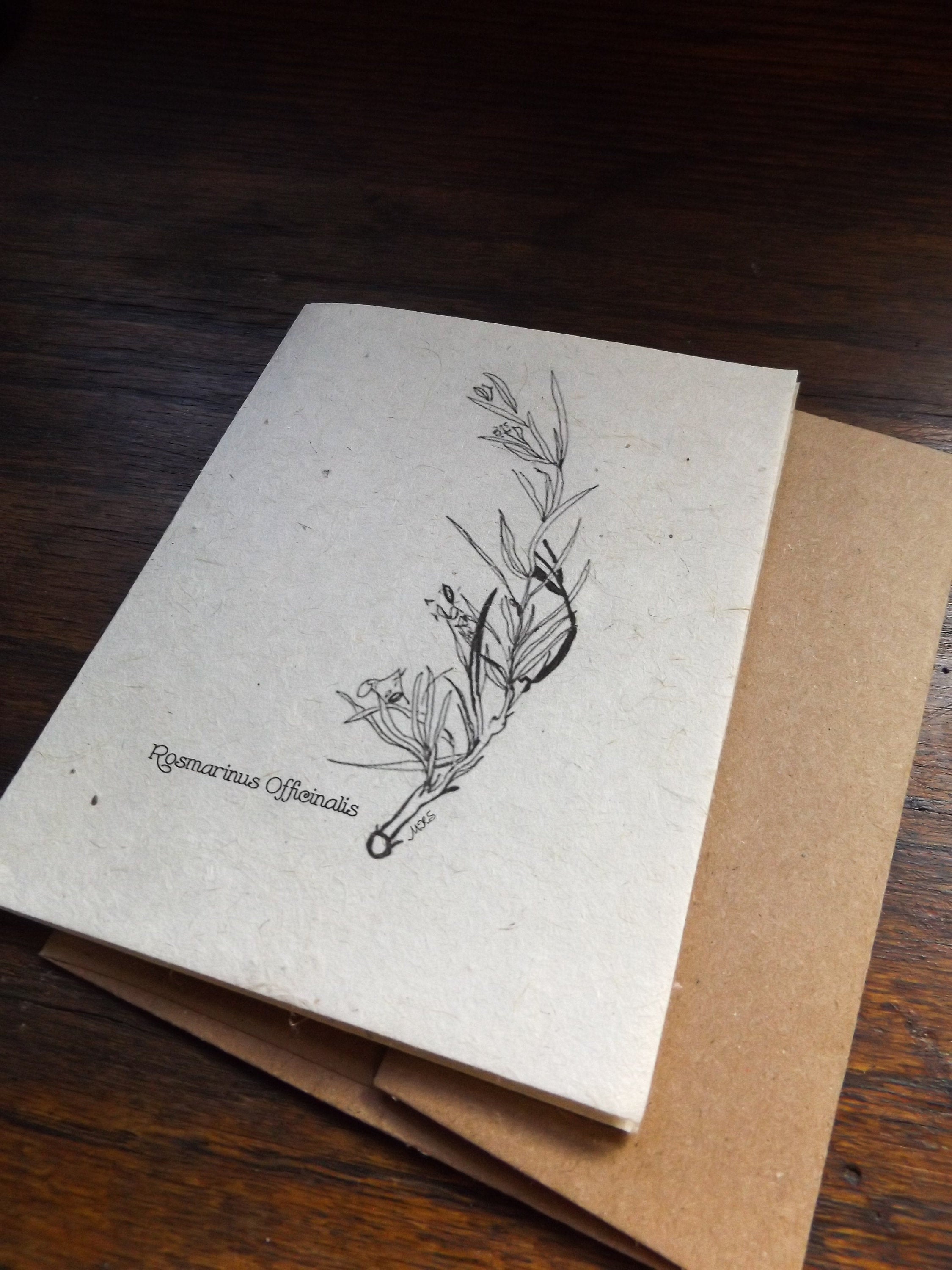 Hand Drawn Plantable Cards || Wildflower Seed Paper || Supports Women || Eco-Friendly