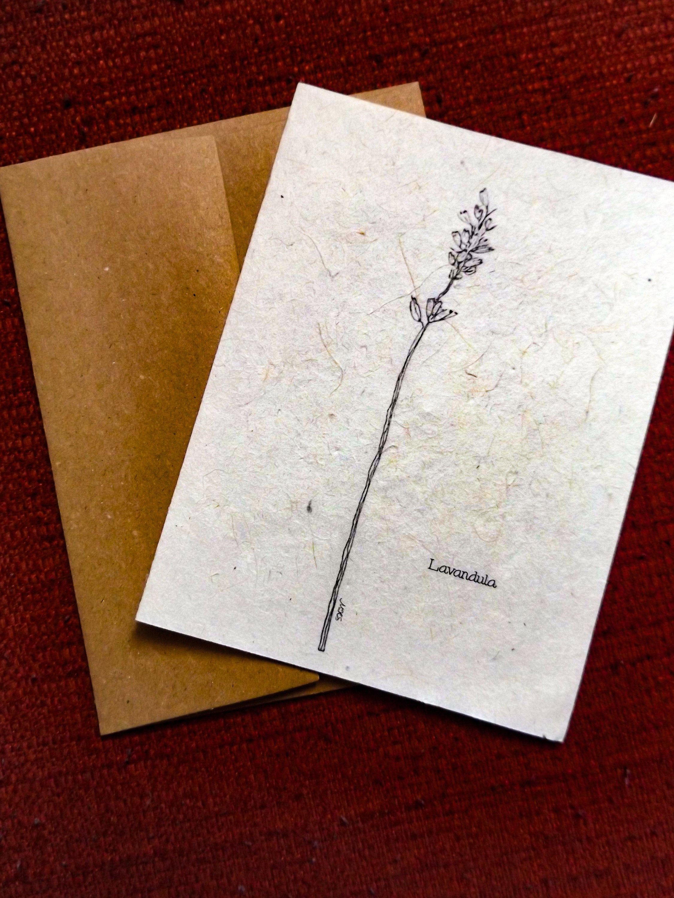 Plantable Seed Paper Greeting Card || Supporting Women In Nepal || Lavender