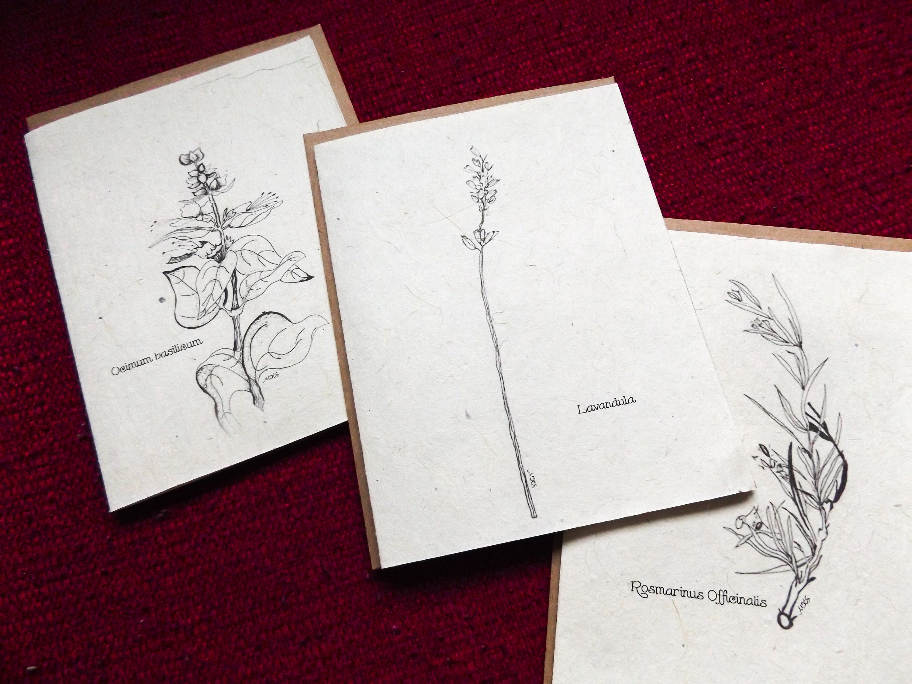 Plantable Seed Paper Greeting Card || Supporting Women In Nepal || Lavender