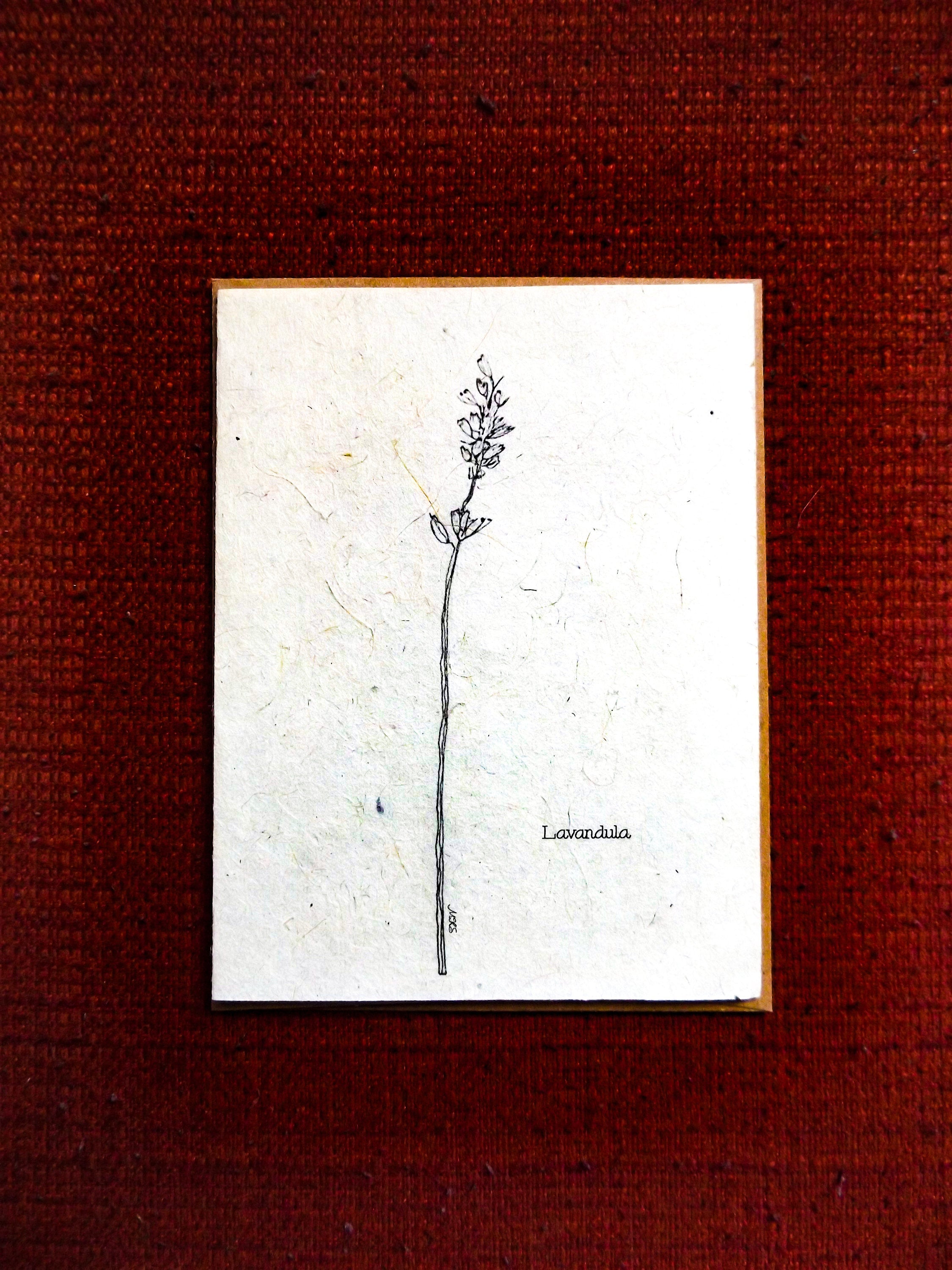 Plantable Seed Paper Greeting Card || Supporting Women In Nepal || Lavender