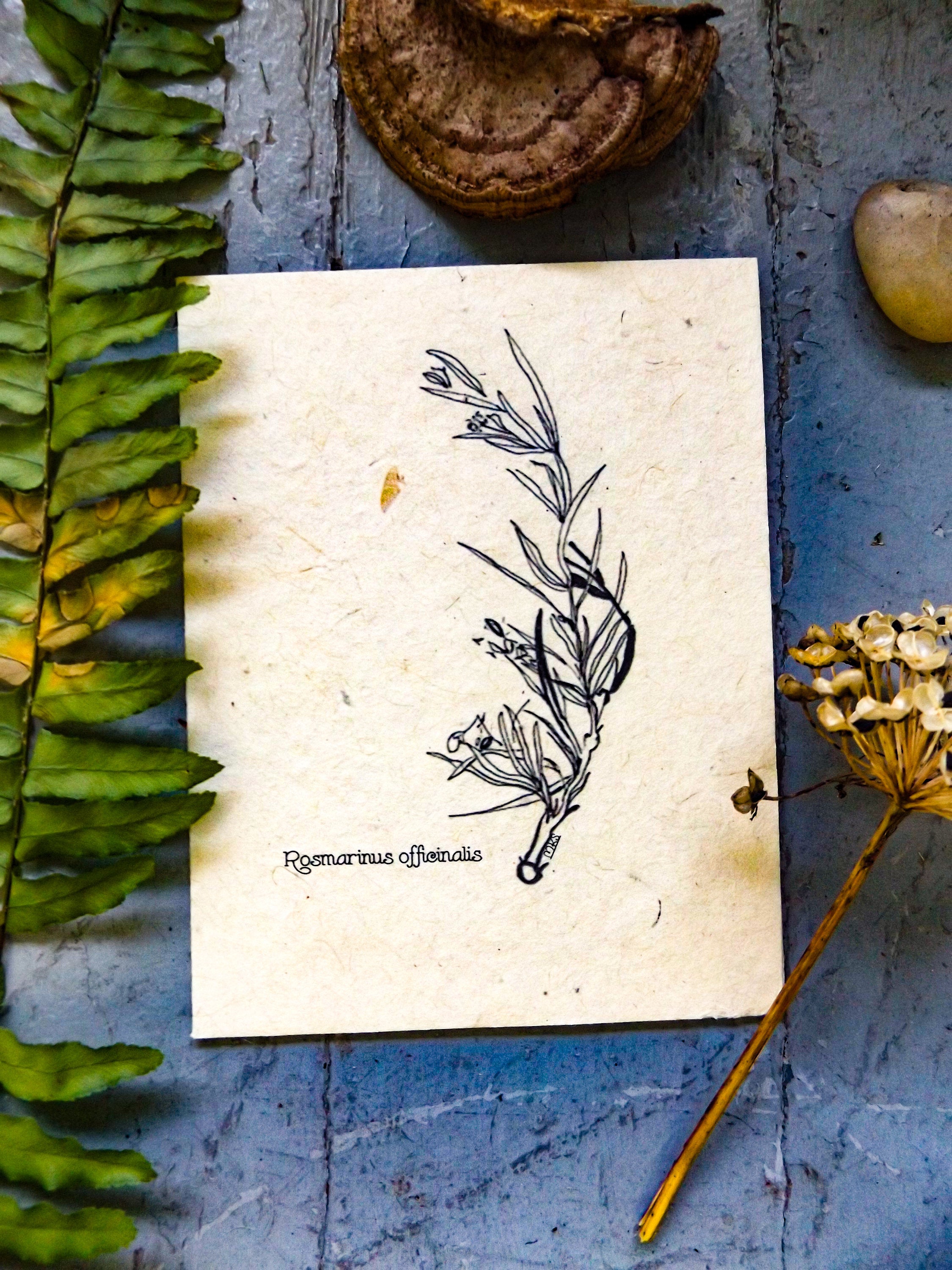 Plantable Seed Paper Greeting Card || Supporting Women In Nepal || Eco-Friendly || Rosemary