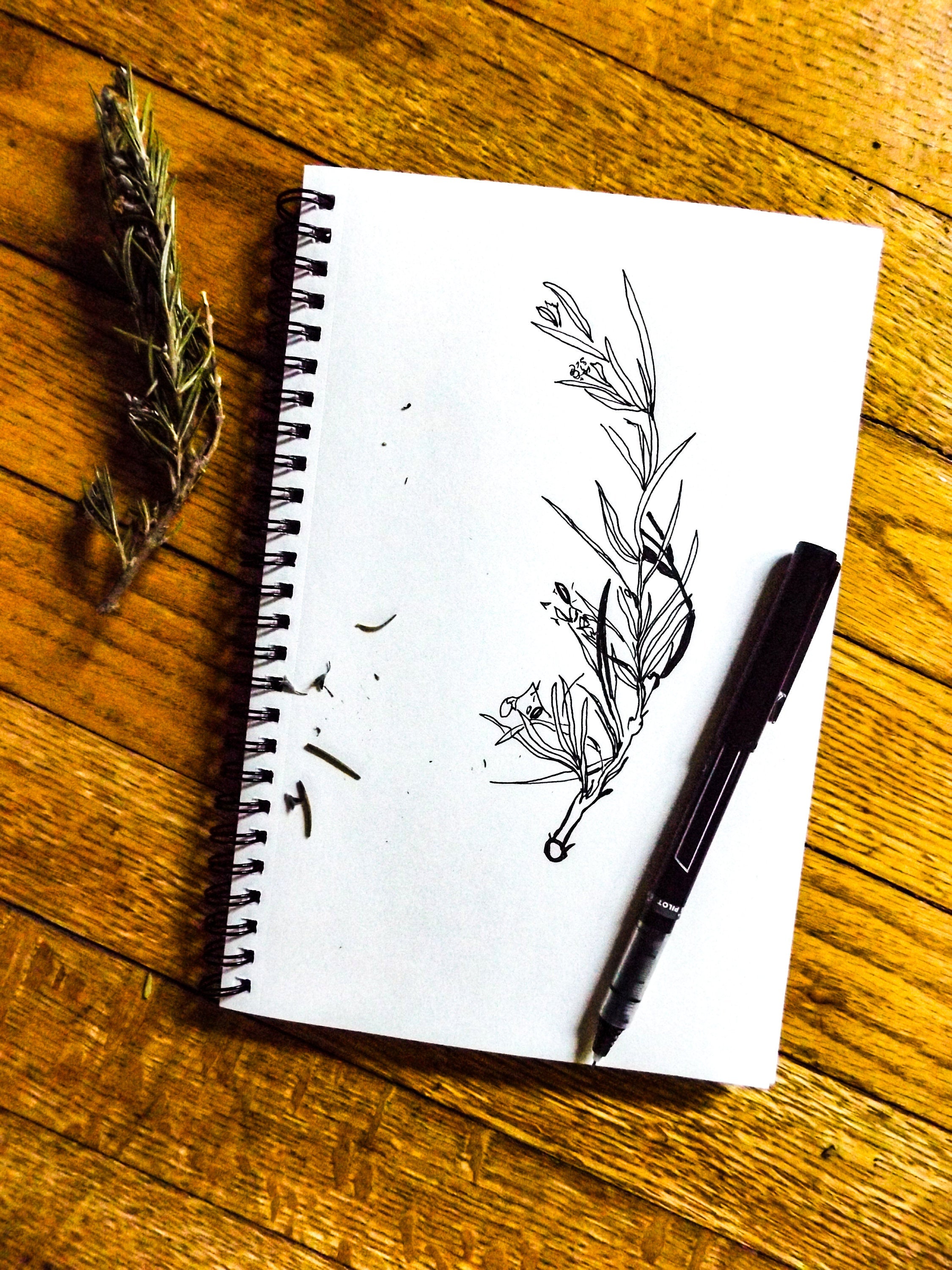 Plantable Seed Paper Greeting Card || Supporting Women In Nepal || Eco-Friendly || Rosemary