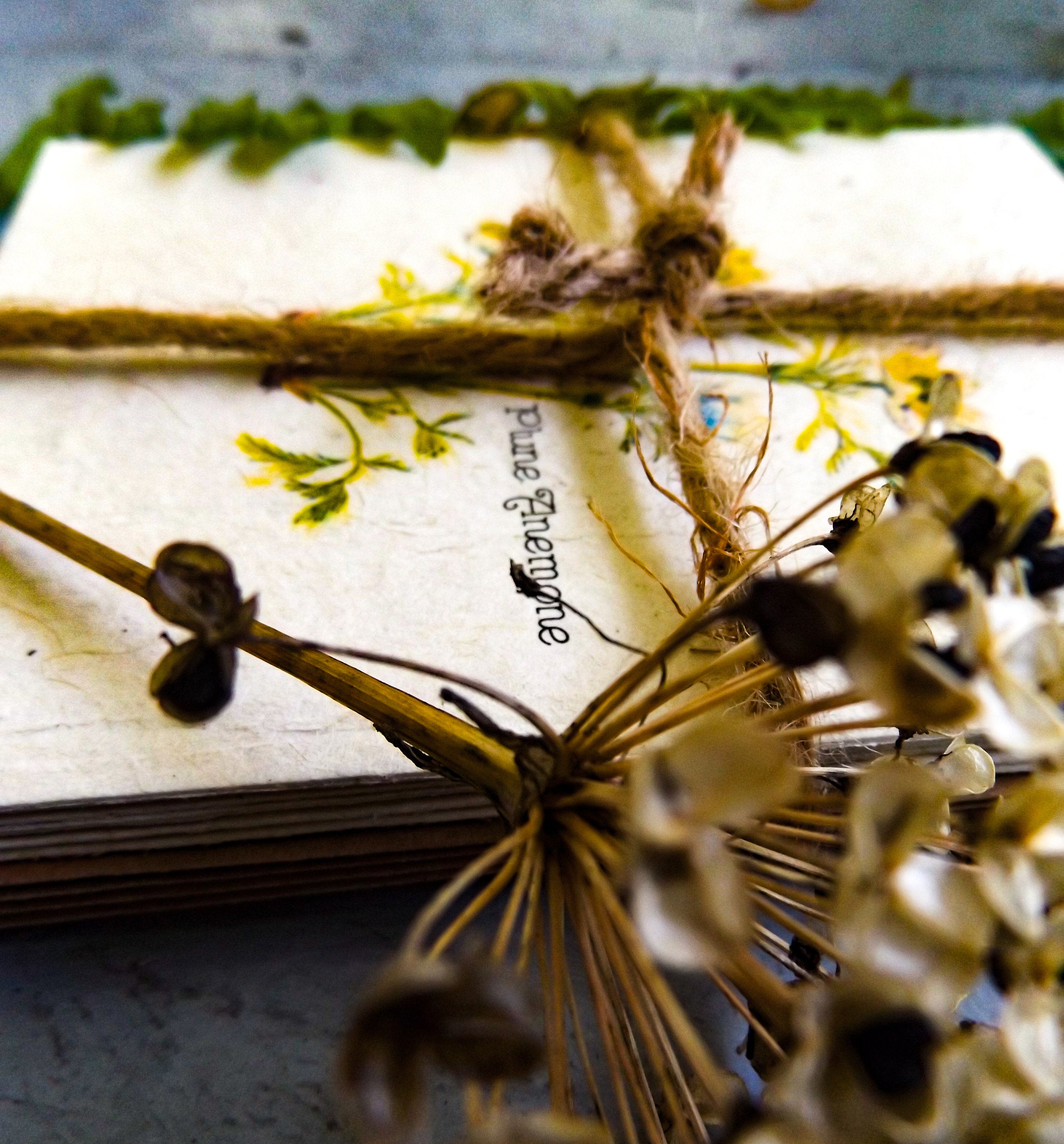 Hand Drawn Plantable Cards || Wildflower Seed Paper || Supports Women || Eco-Friendly