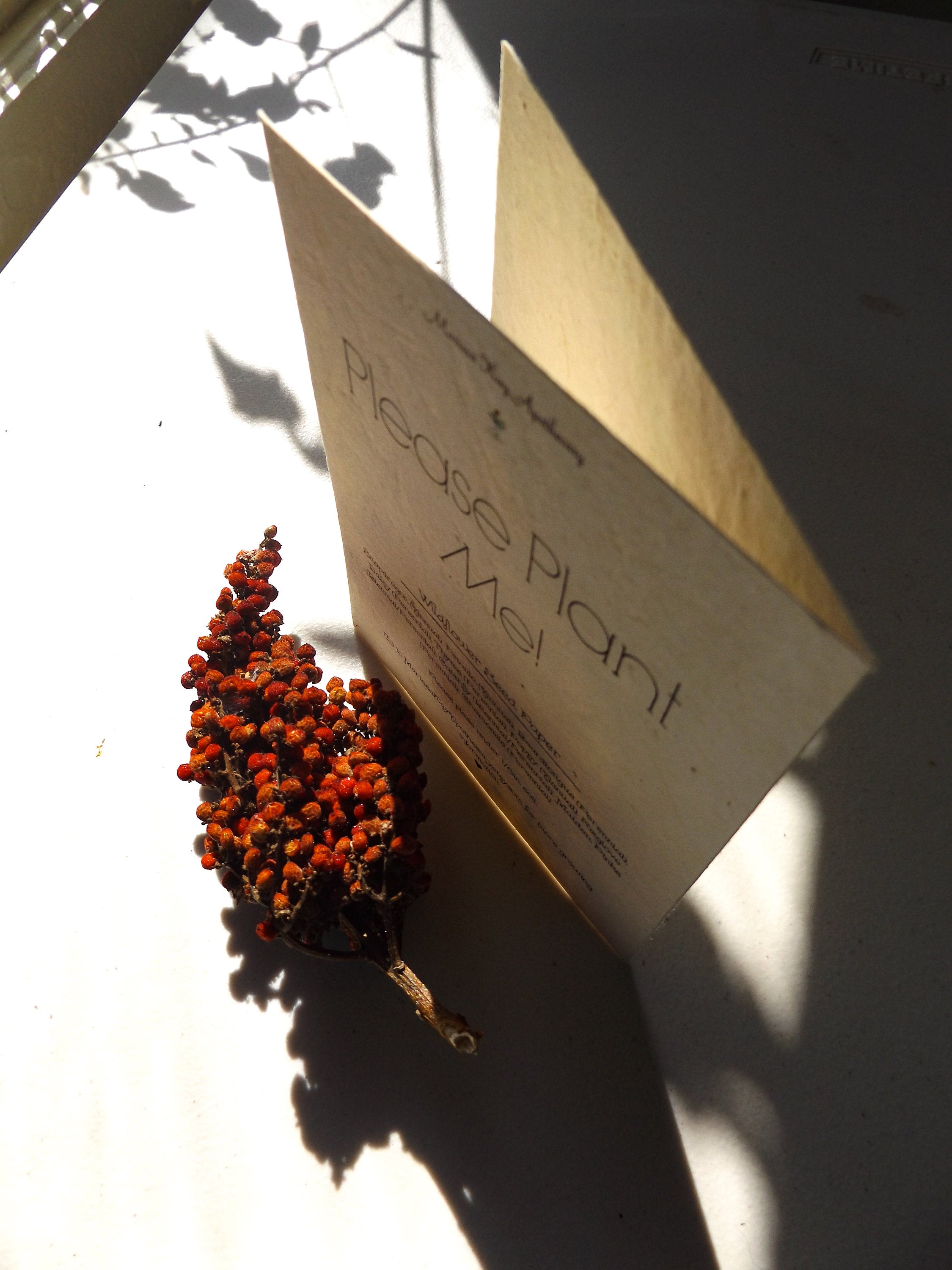 Plantable Seed Cards || Supports Women In Nepal || Wildflower Seed Paper || Eco-Friendly