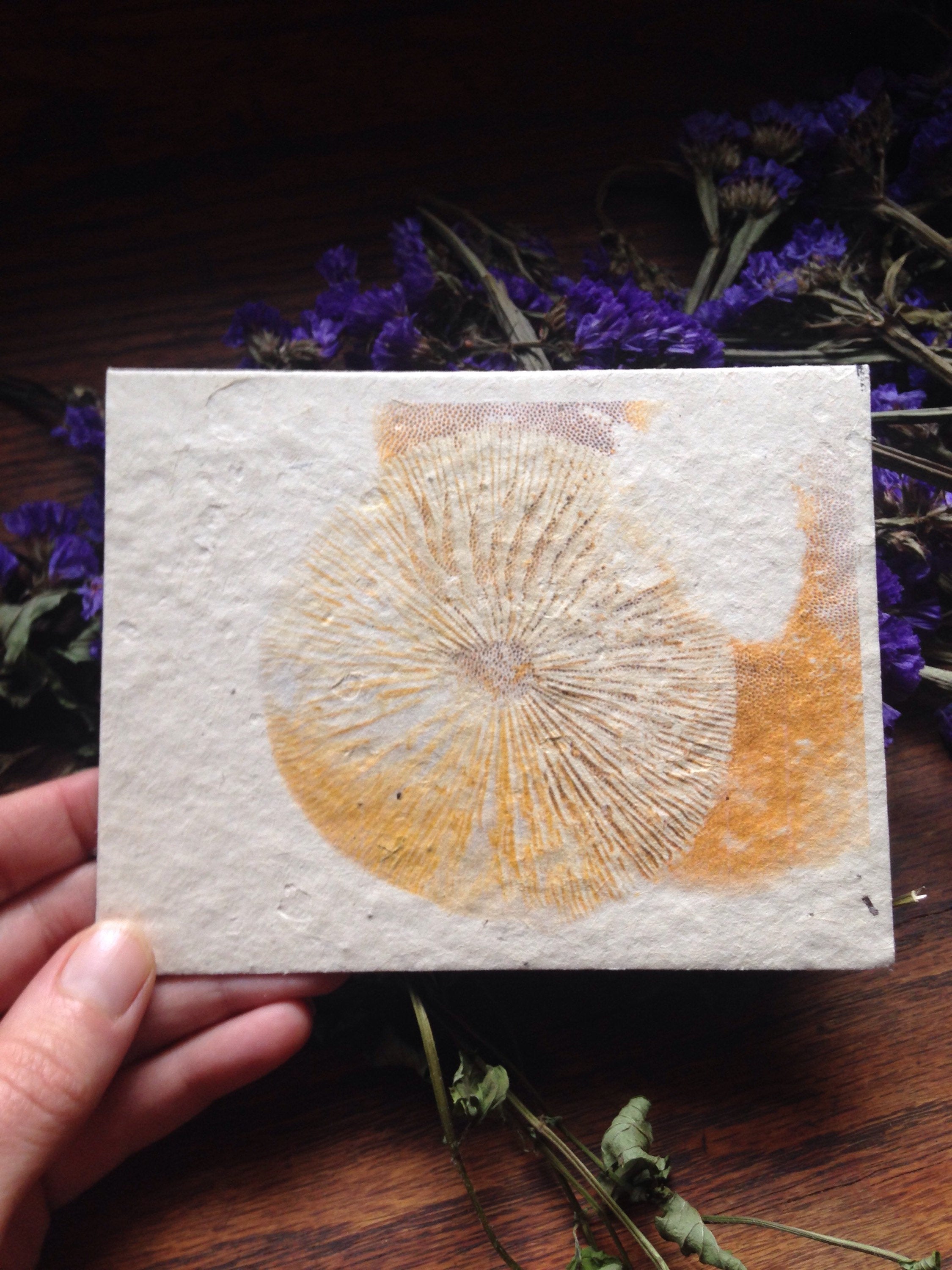Plantable Seed Cards || Wildflower Seed Paper || Eco-Friendly || Supports Women In Nepal