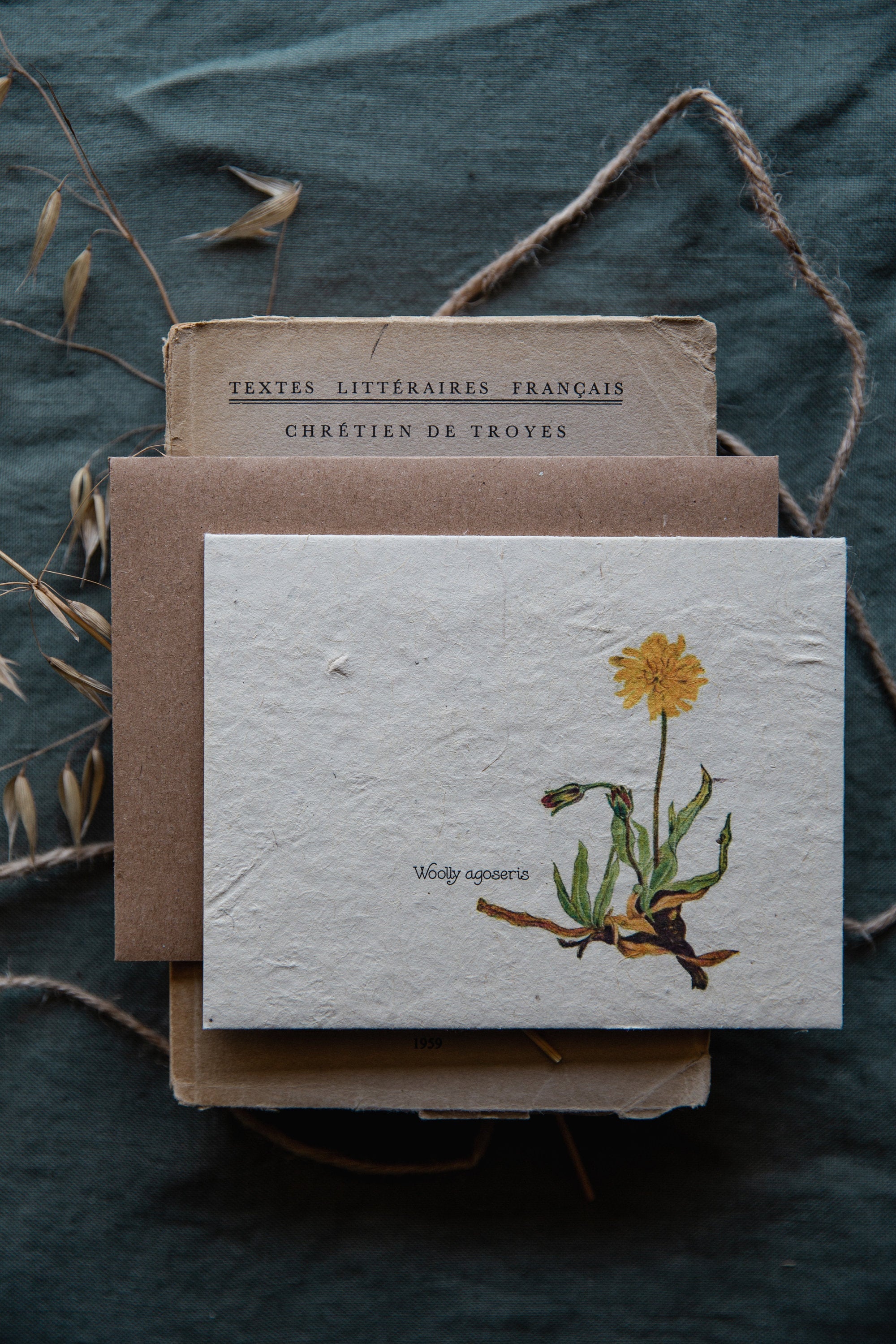 Plantable Vintage Botanical Cards || 6 Pack || Wildflower Seed Paper || Beyond Zero Waste || Woolly agoseris || Eco-friendly || Supports Women