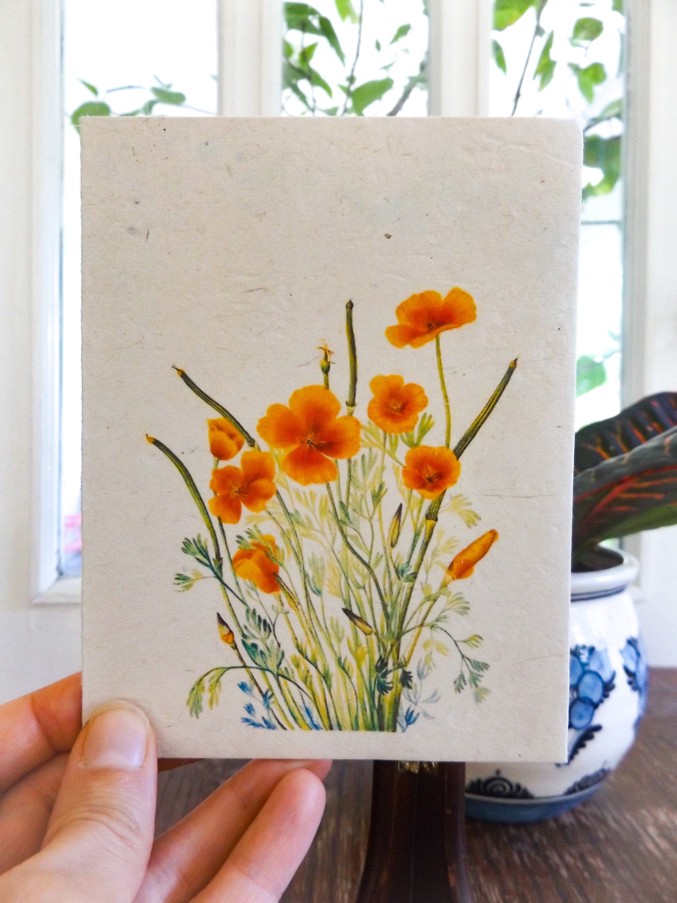 Plantable Vintage Cards || 6 pack Wildflower Seed Paper || Beyond Zero Waste || Mexican Poppy || Eco-friendly || Supports Women