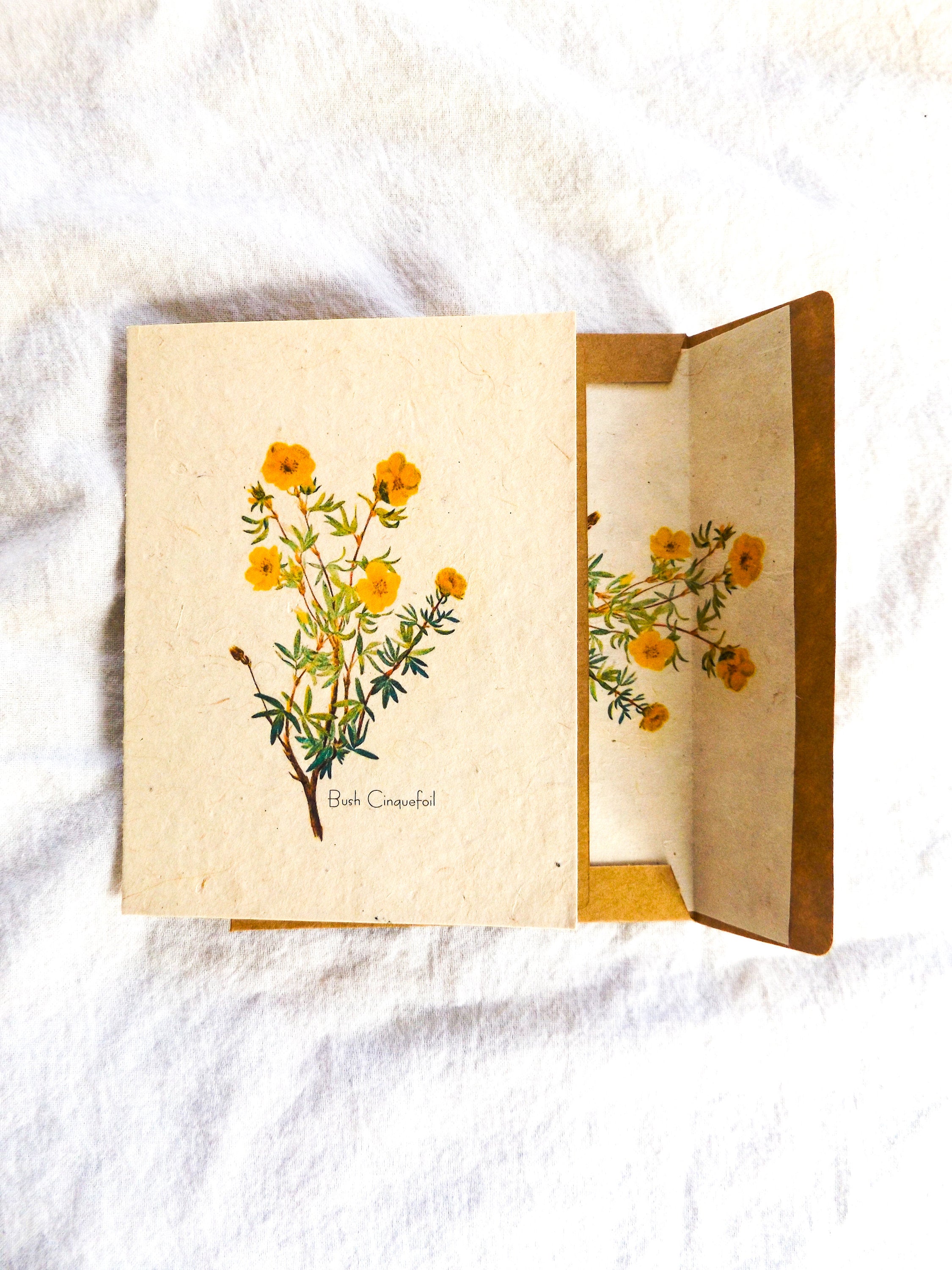 Seed Paper Cards || 6 pack With Envelopes Lined With Seed Paper || Hand Drawn || Zero Waste || Eco-friendly || Supports Women