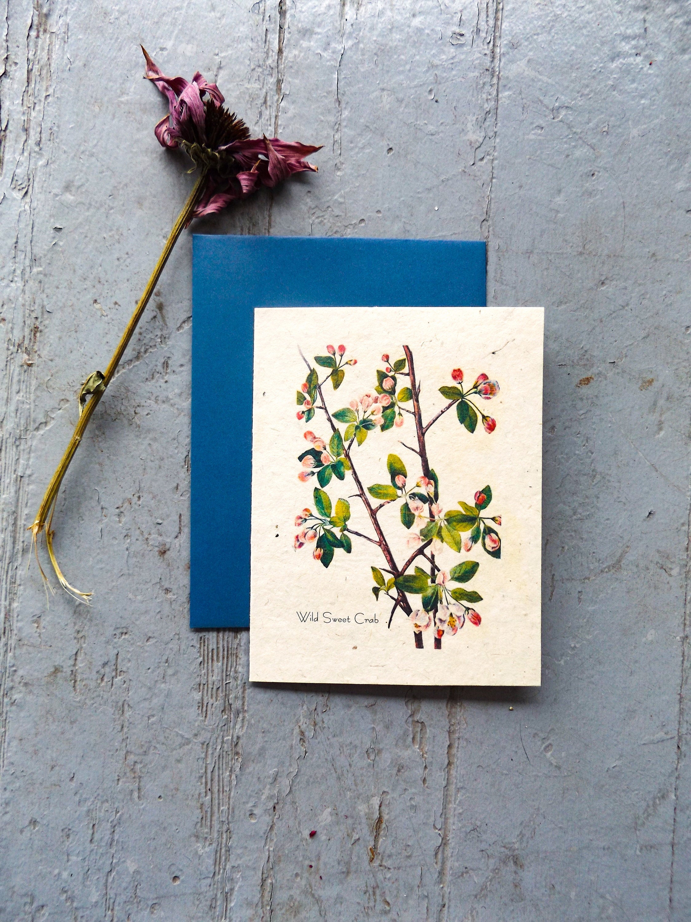 Plantable Seed Cards || Supports Women In Nepal || Wildflower Seed Paper || Tree Free || Wild Sweet Crab