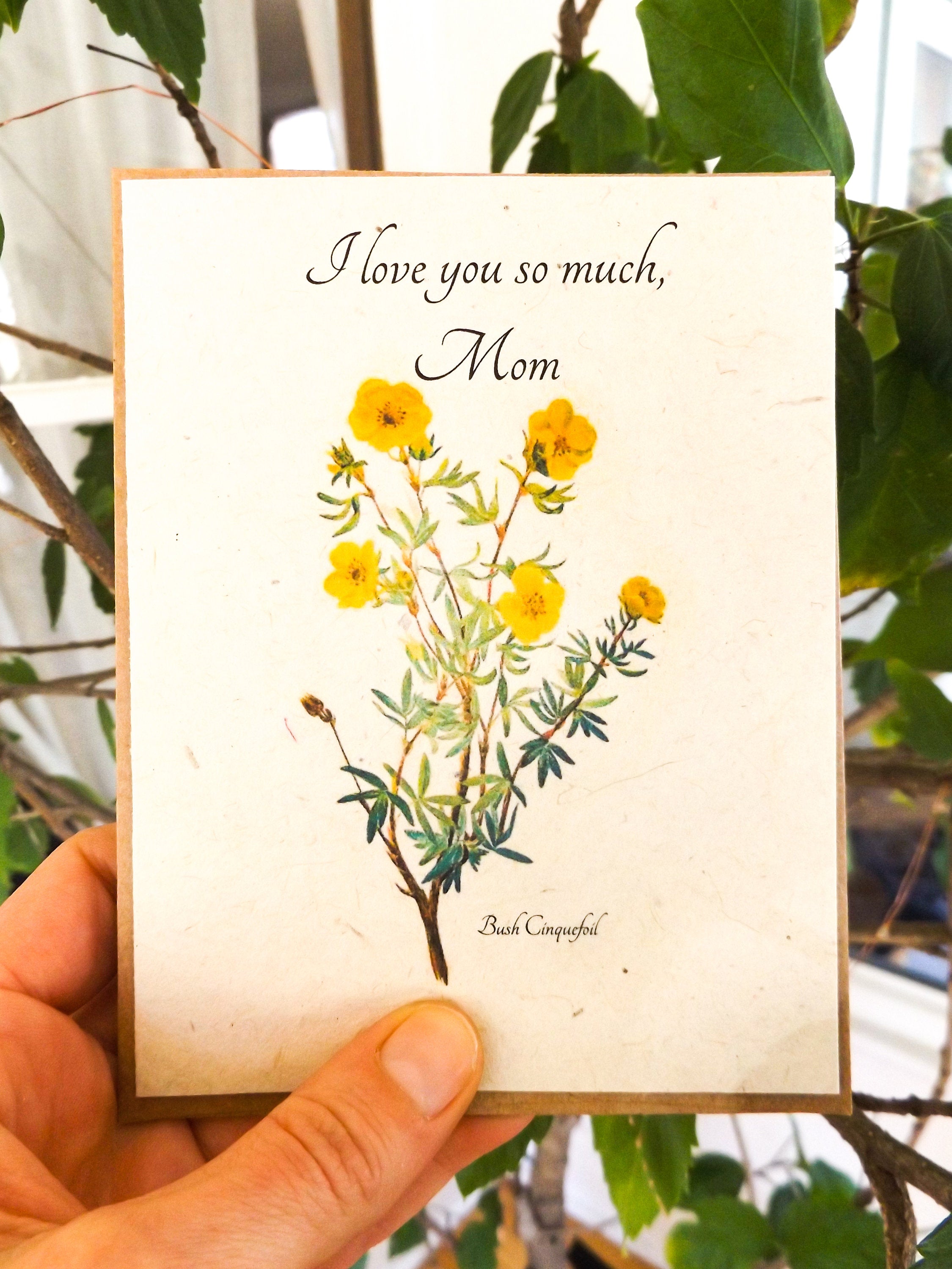 Mother&