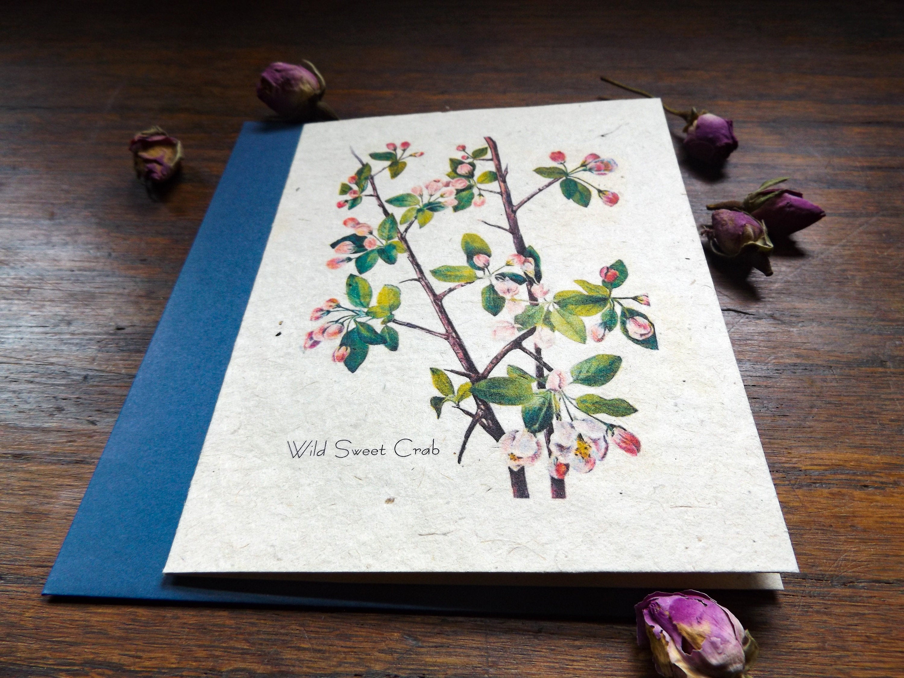 Plantable Seed Cards || Supports Women In Nepal || Wildflower Seed Paper || Tree Free || Wild Sweet Crab