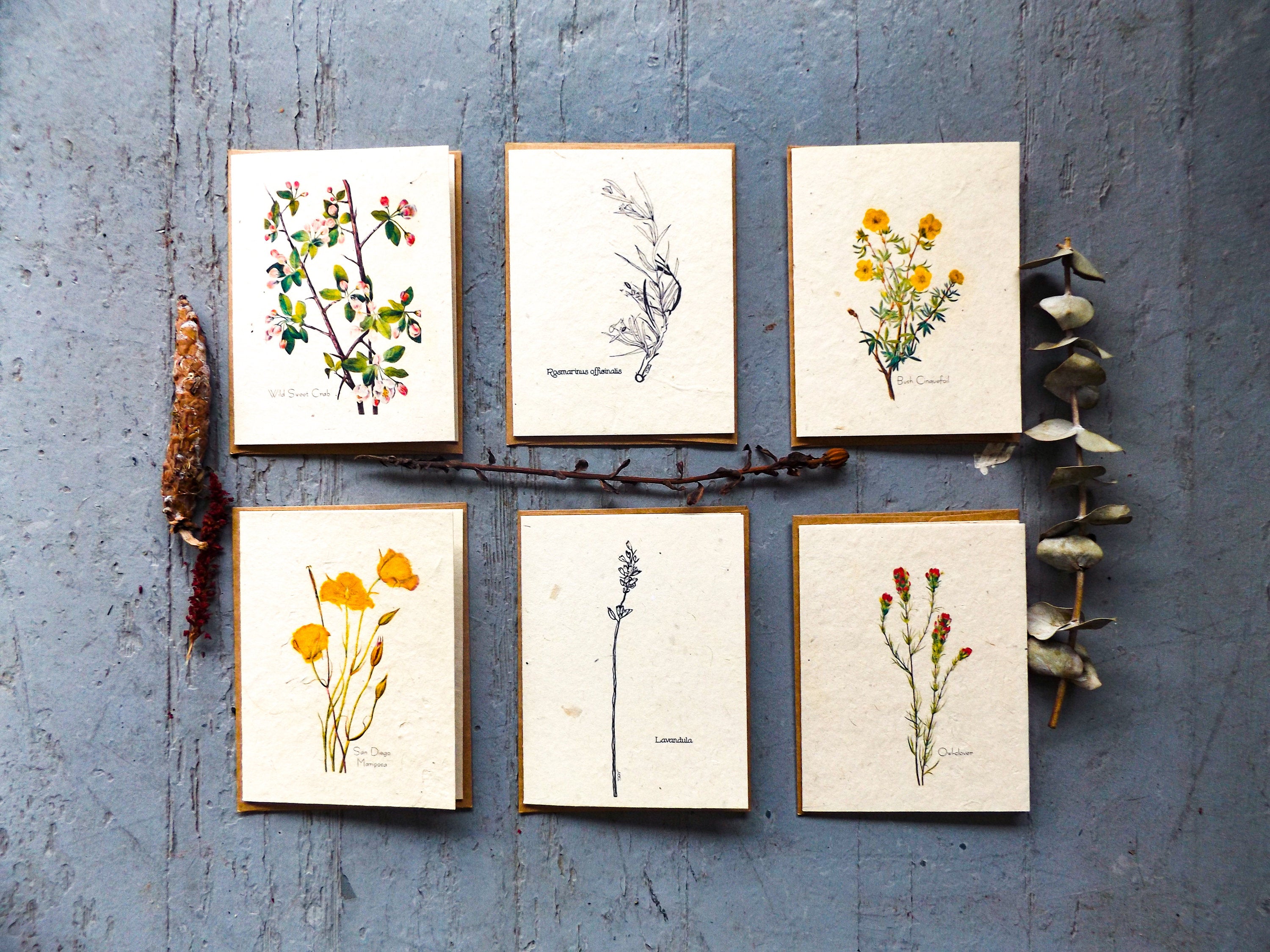 Plantable Seed Cards || Supports Women In Nepal || Wildflower Seed Paper || Eco-Friendly