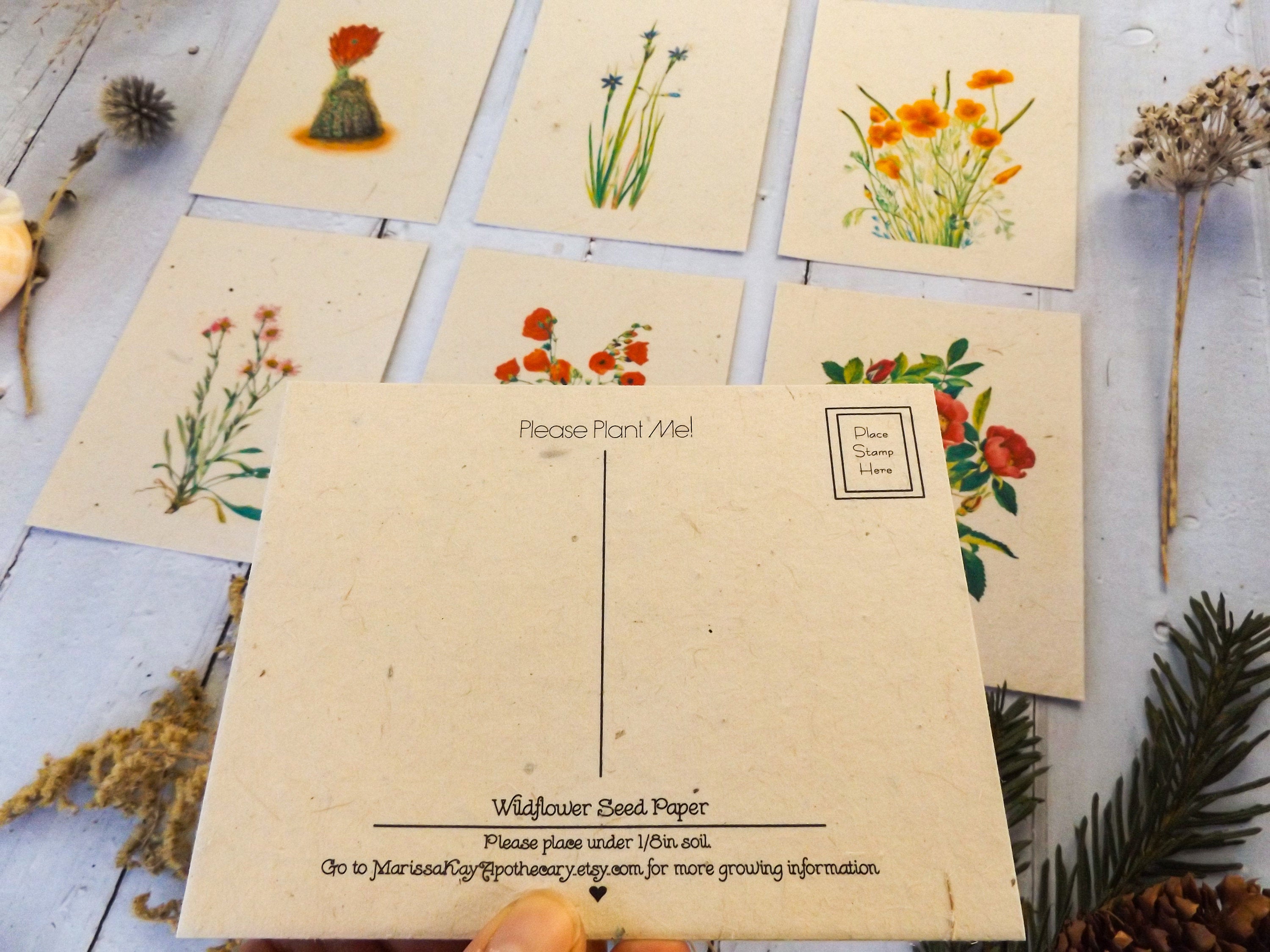 Wholesale 100ct Vintage Inspired Postcards On Seed Paper || Wildflowers Will Grow || Variety 6 Pack || Eco-friendly || Supports Women in Nepal