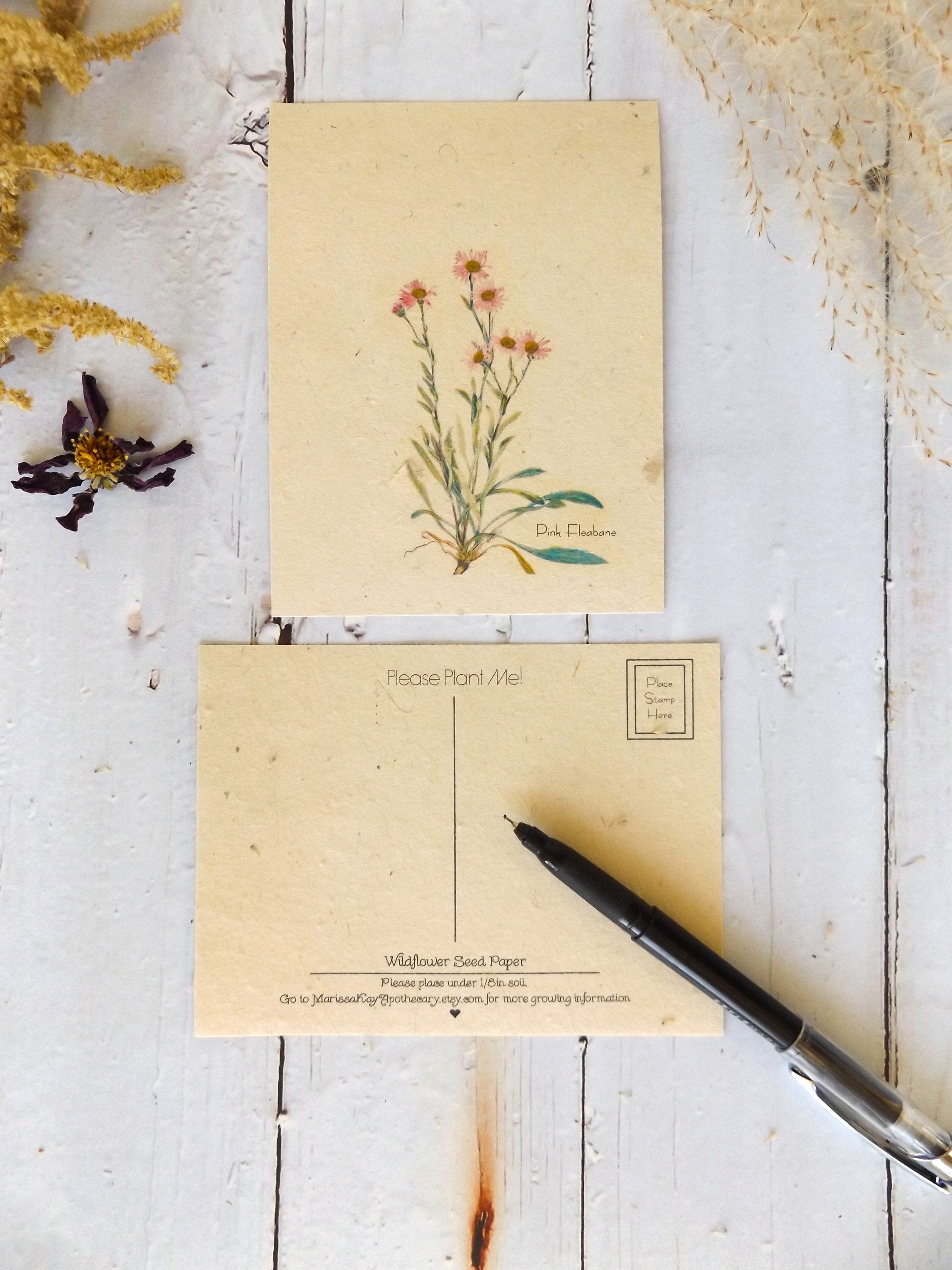 Vintage Inspired Postcards On Seed Paper || Wildflowers Will Grow || 6-pack of Postcards || Eco-friendly || Supports Women in Nepal