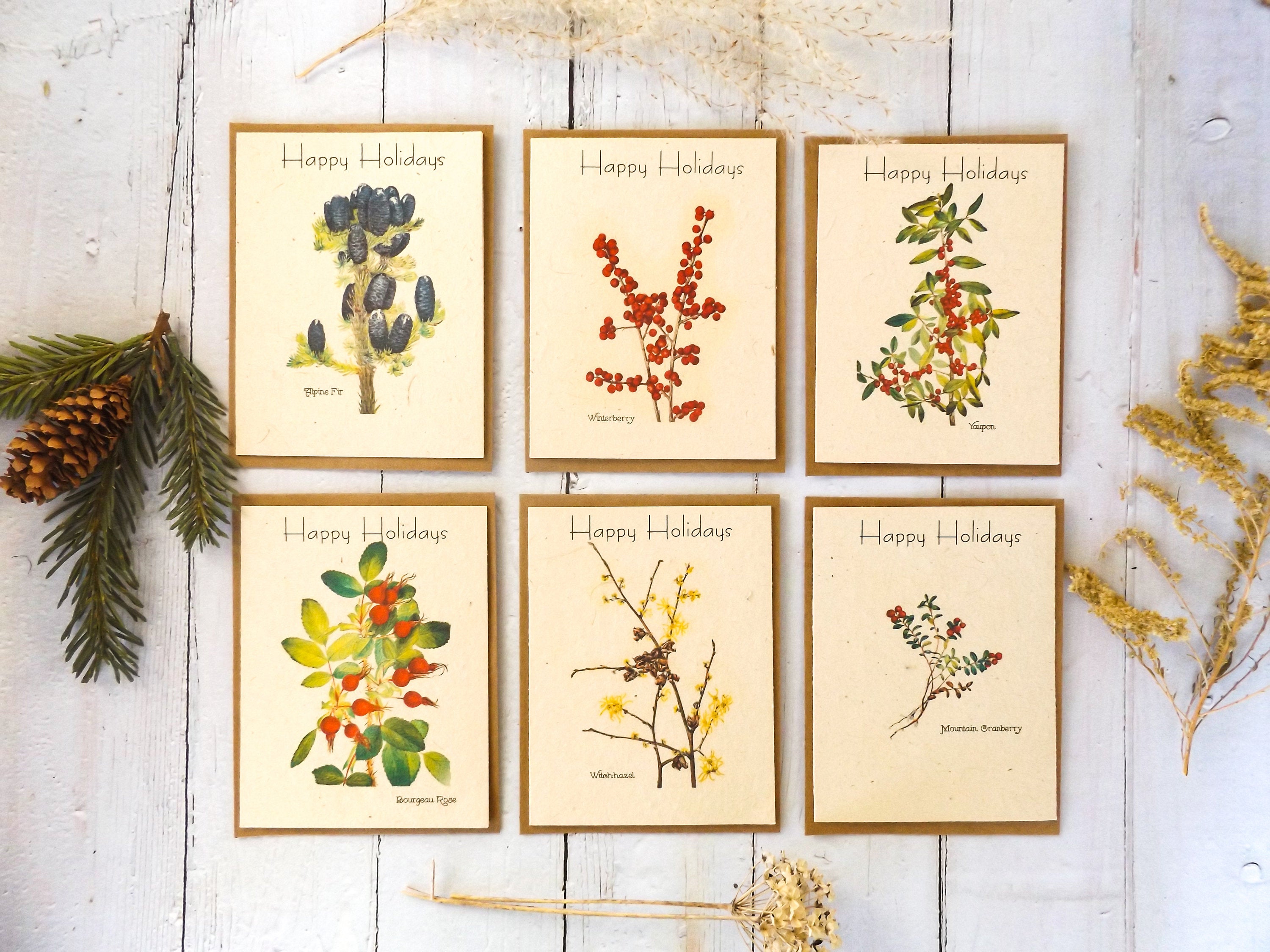 Holiday Plantable Seed Cards With Envelopes || Variety Pack(6) || Wildflower Seed Paper || Zero Waste Gift || Supports Women in Nepal || Eco-friendly