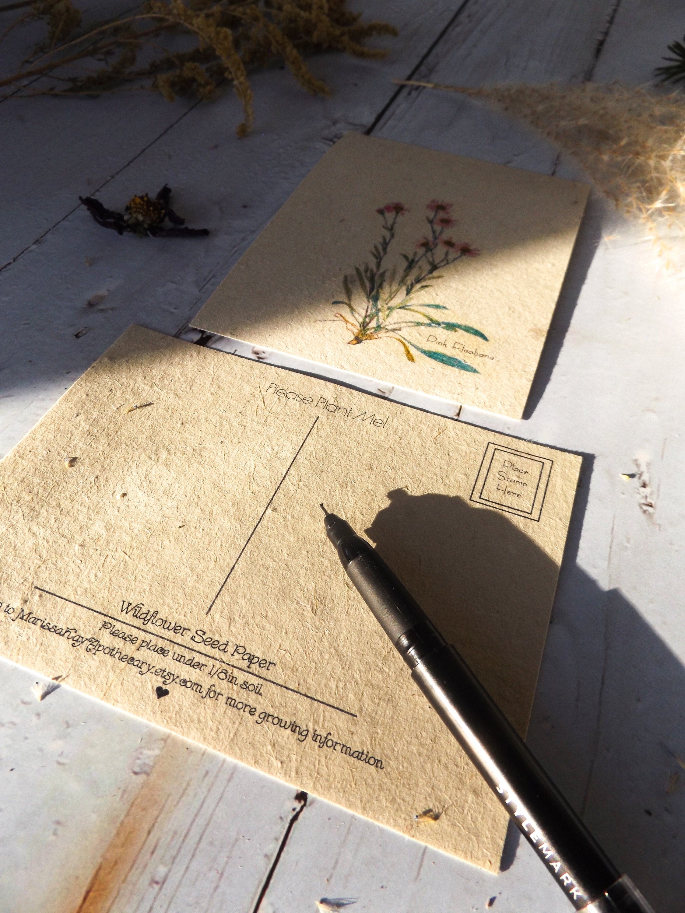Plantable Seed Postcards || Supports Women In Nepal || Eco-Friendly || Pink Fleabane