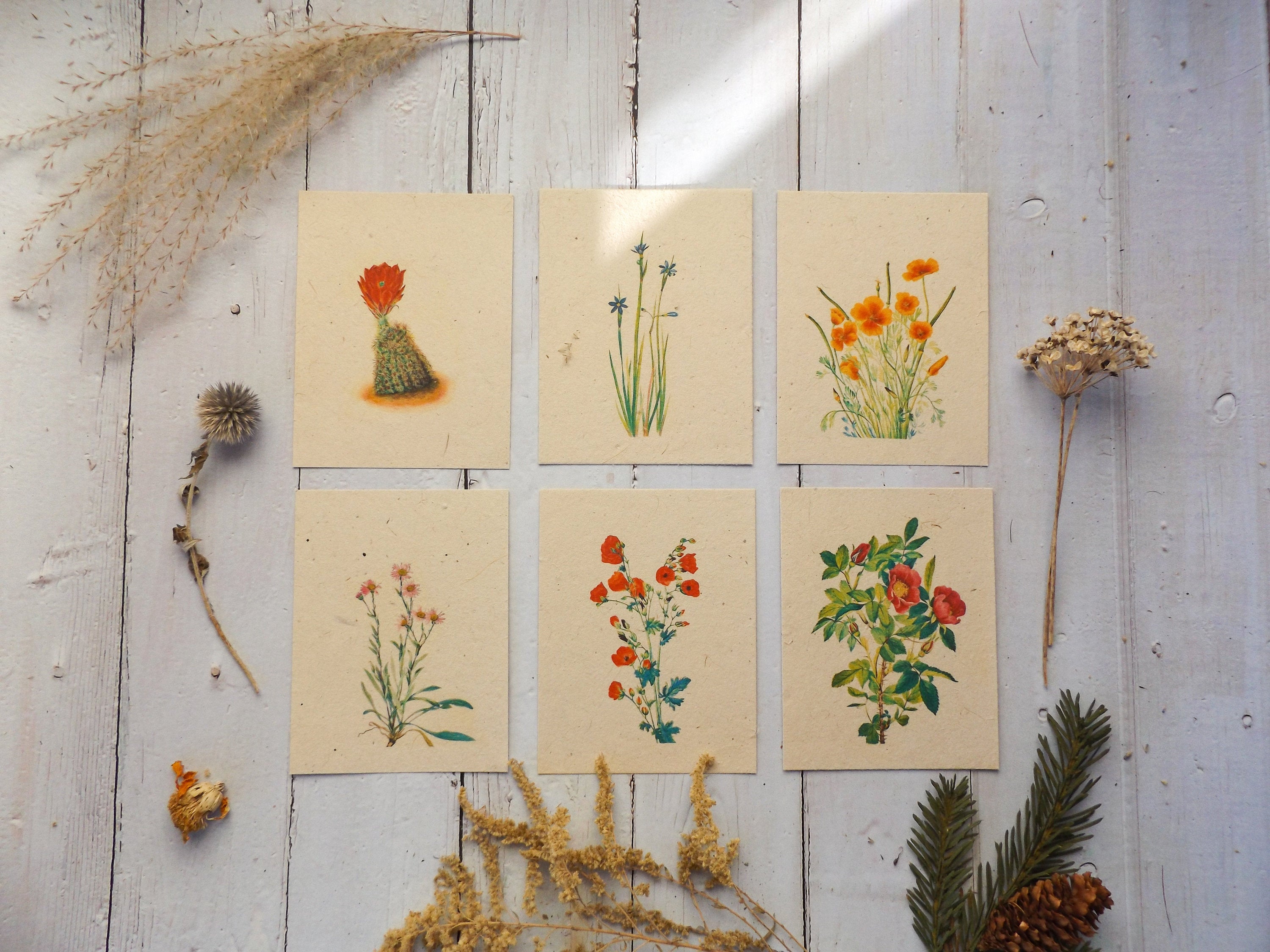 Vintage Inspired Postcards On Seed Paper || Wildflowers Will Grow || 6-pack of Postcards || Eco-friendly || Supports Women in Nepal
