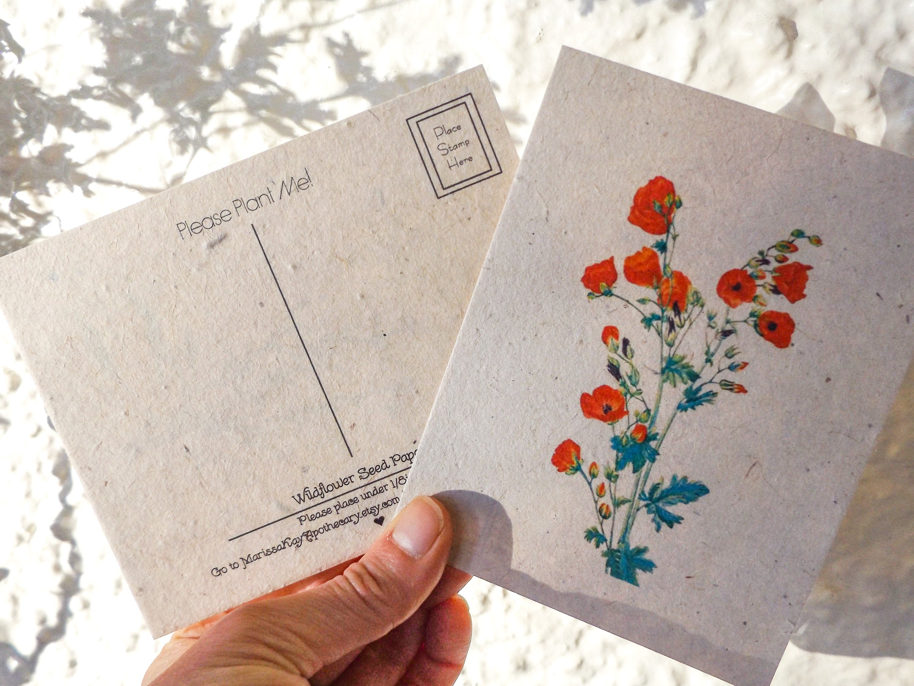 Vintage Inspired Postcards On Seed Paper || Wildflowers Will Grow || 6-pack of Postcards || Eco-friendly || Supports Women in Nepal