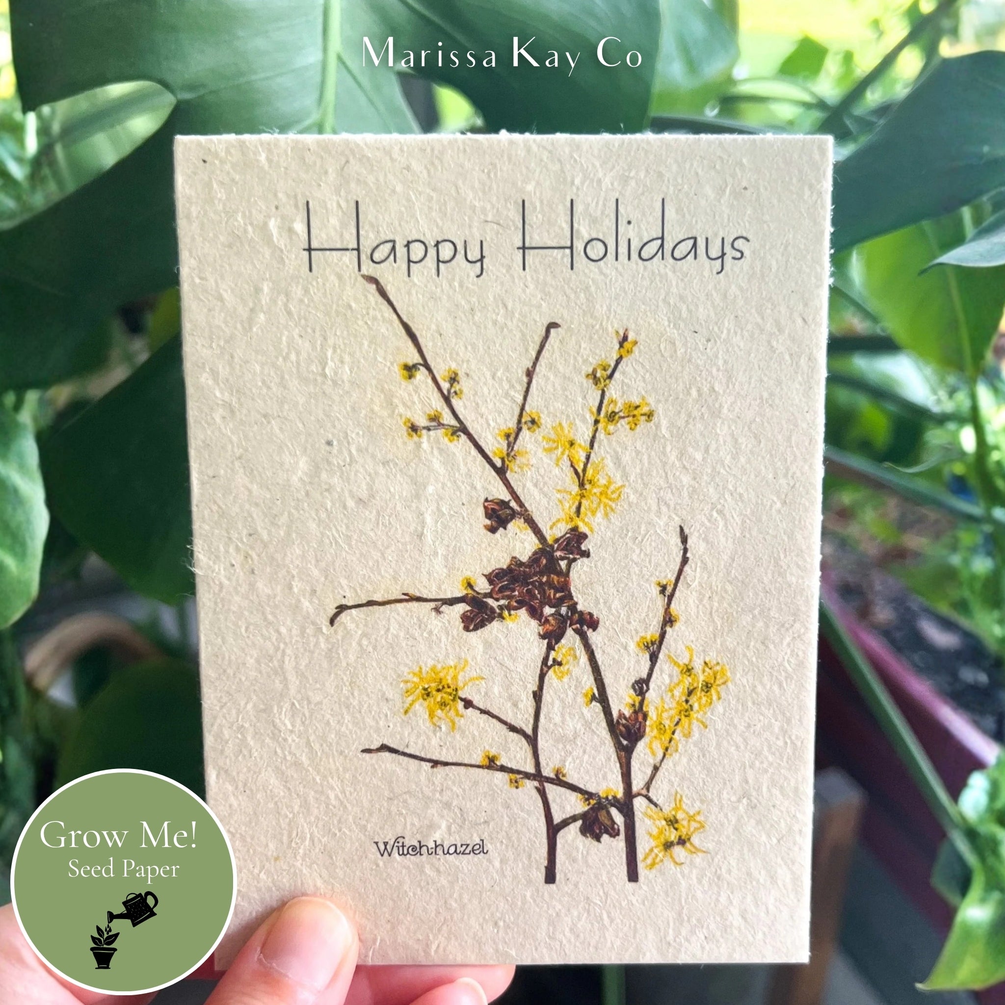Happy Holidays Card + Personal Note – Plantable Seed Paper, Witch Hazel – Single