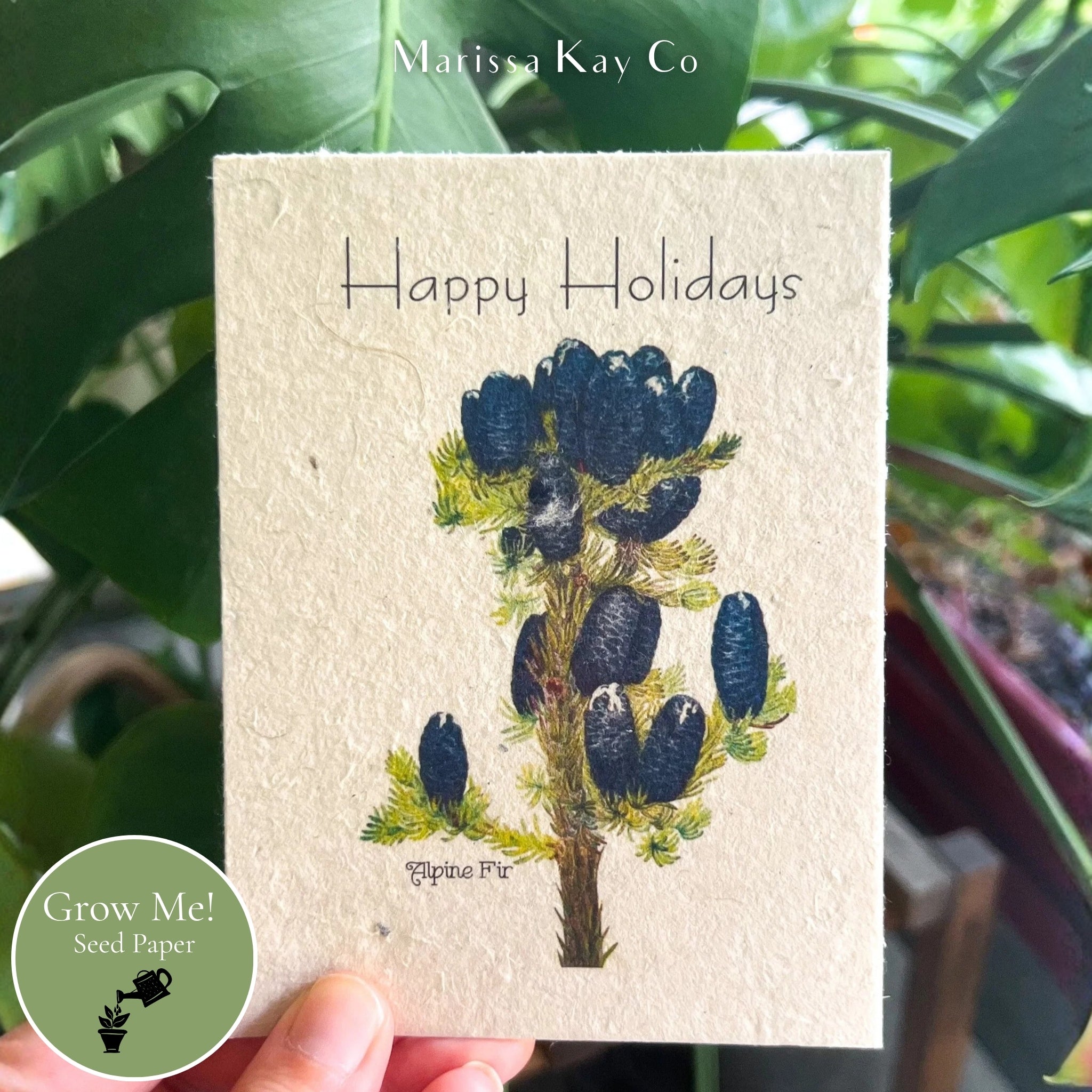 Happy Holidays Card + Personal Note – Plantable Seed Paper, Alpine Fir – Single