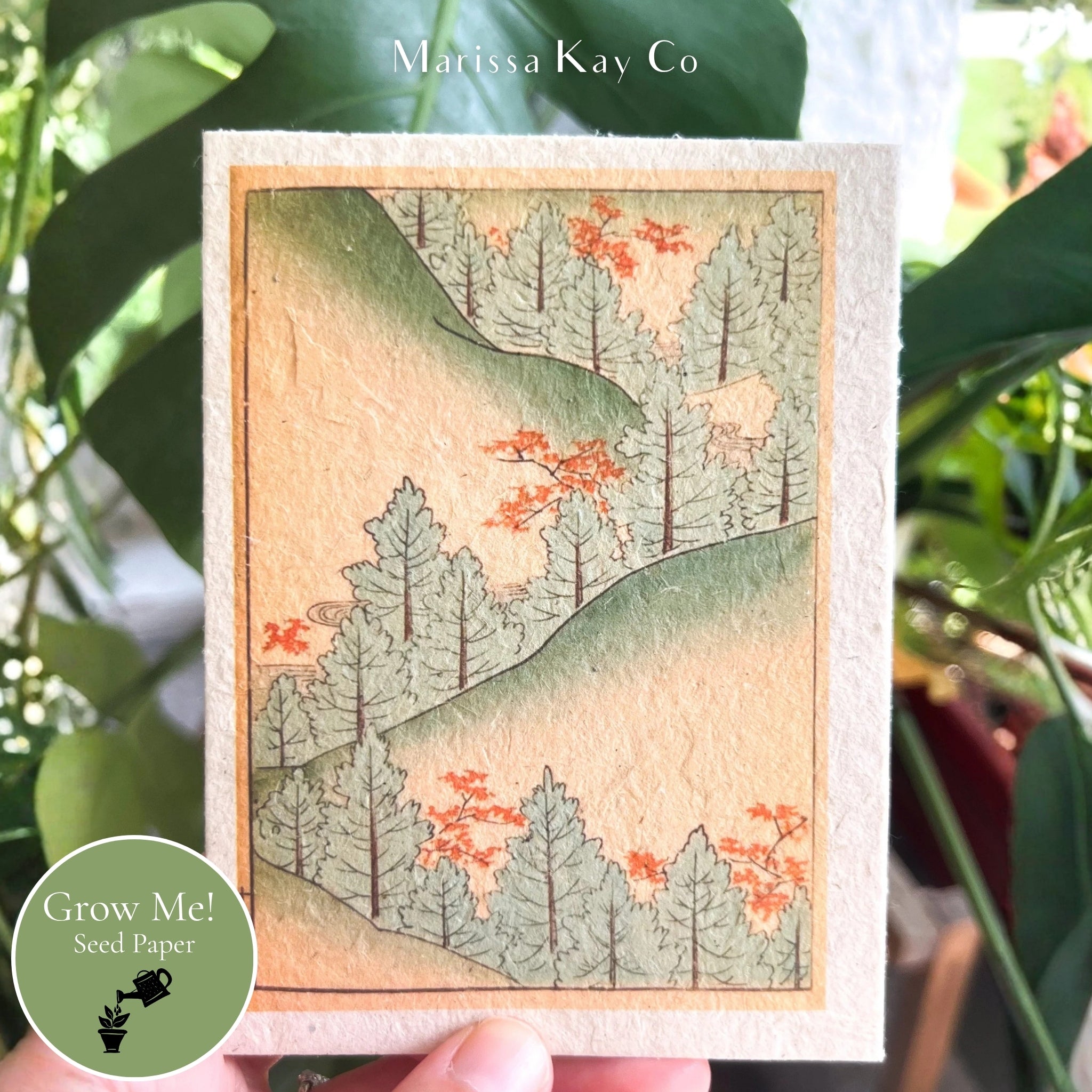 All-Occasion Card + Personal Note – Plantable Seed Paper, Japanese Pines – Single