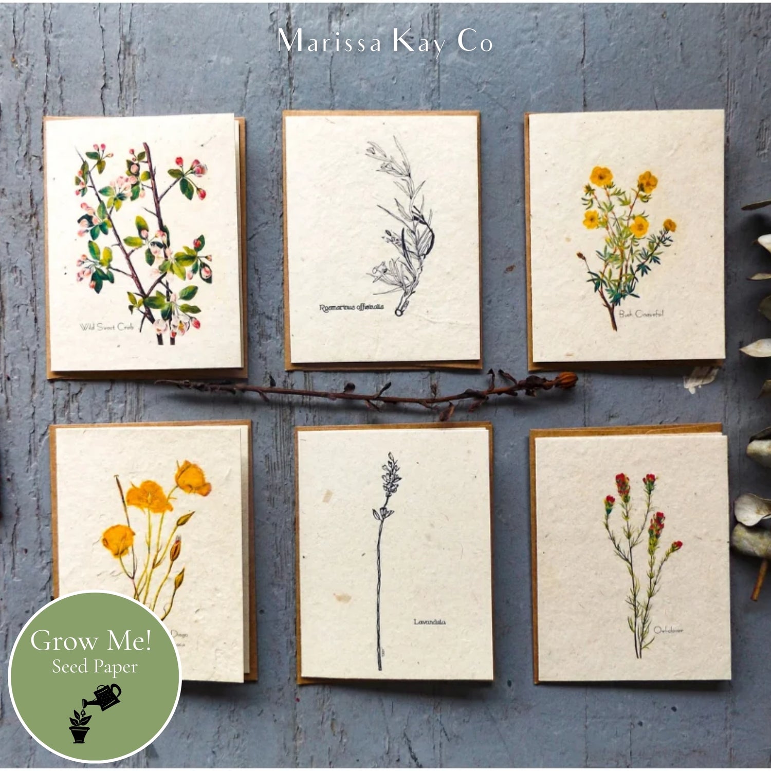 All-Occasion Cards + Personal Note – Plantable Seed Paper, Wildflower Assortment – 6-Pack