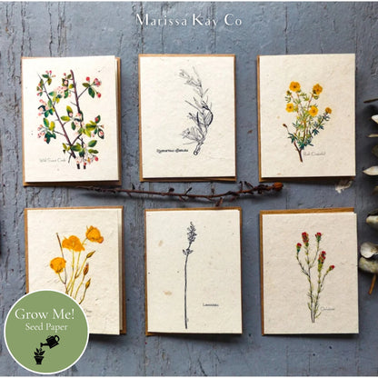 All-Occasion Cards + Personal Note – Plantable Seed Paper, Wildflower Assortment – 6-Pack