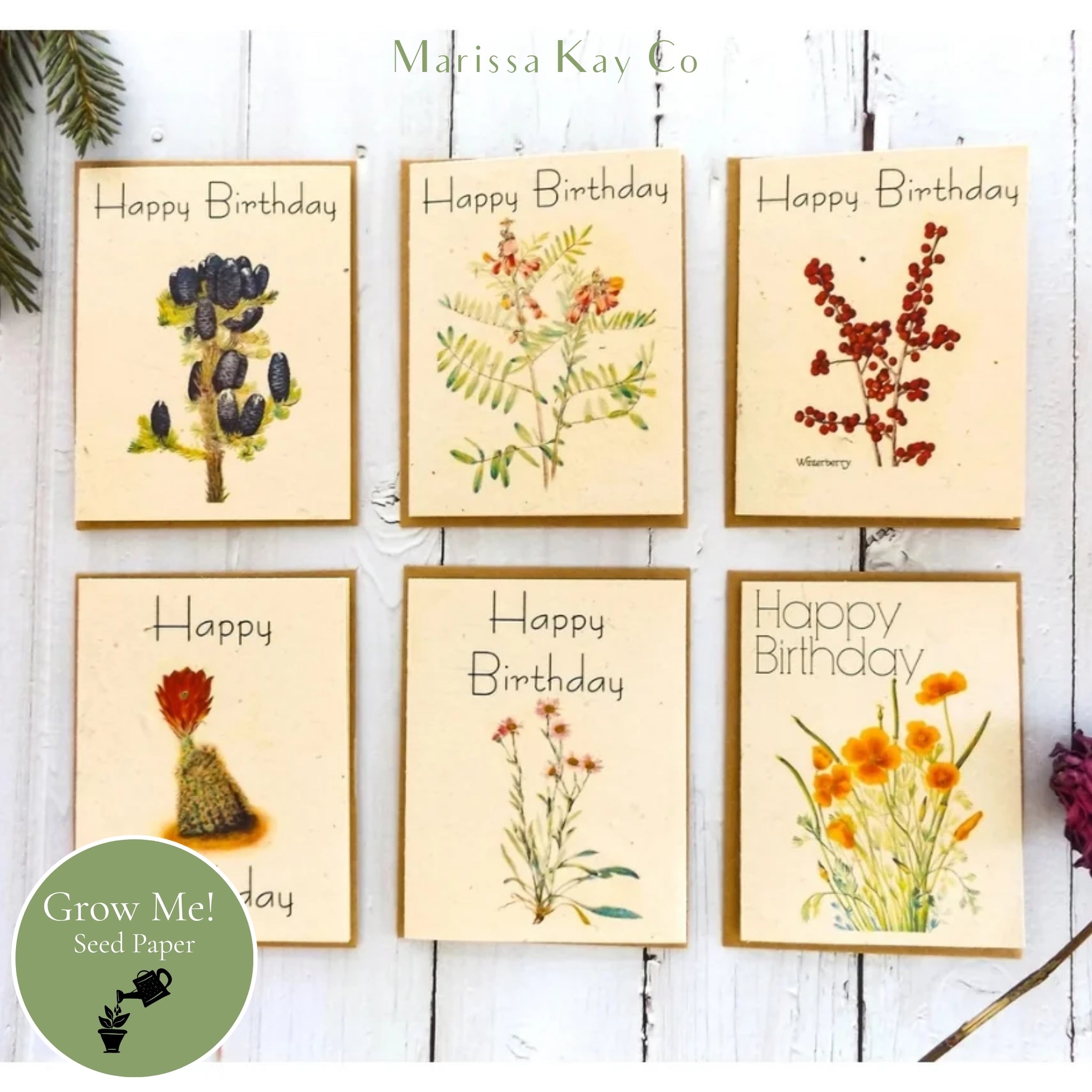 Happy Birthday Cards + Personal Note – Plantable Seed Paper, Garden Assortment – 6-Pack
