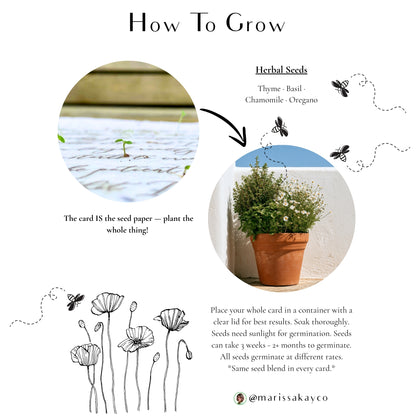 All-Occasion Cards + Personal Note – Plantable Seed Paper, Wildflower Assortment – 6-Pack