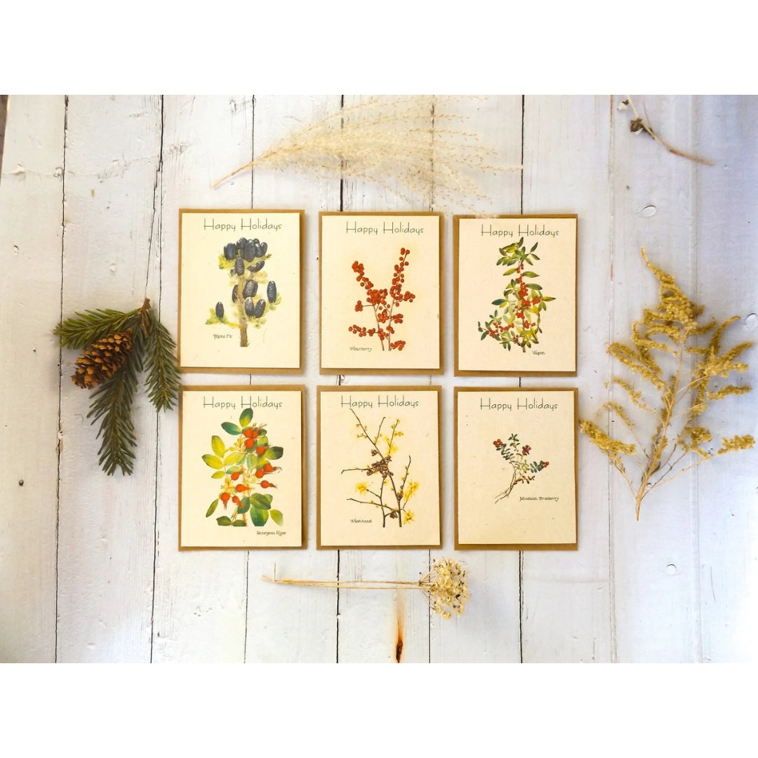 Hand-Drawn Seed Paper Greeting by Marissa Kay || Value Pack-Happy Holidays || Value Pack-5
