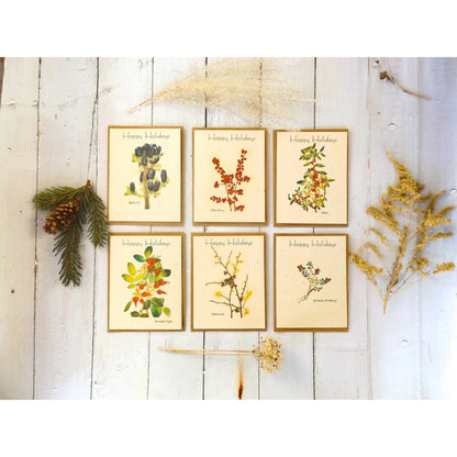 Hand-Drawn Seed Paper Greeting by Marissa Kay || Value Pack-Happy Holidays || Value Pack-5